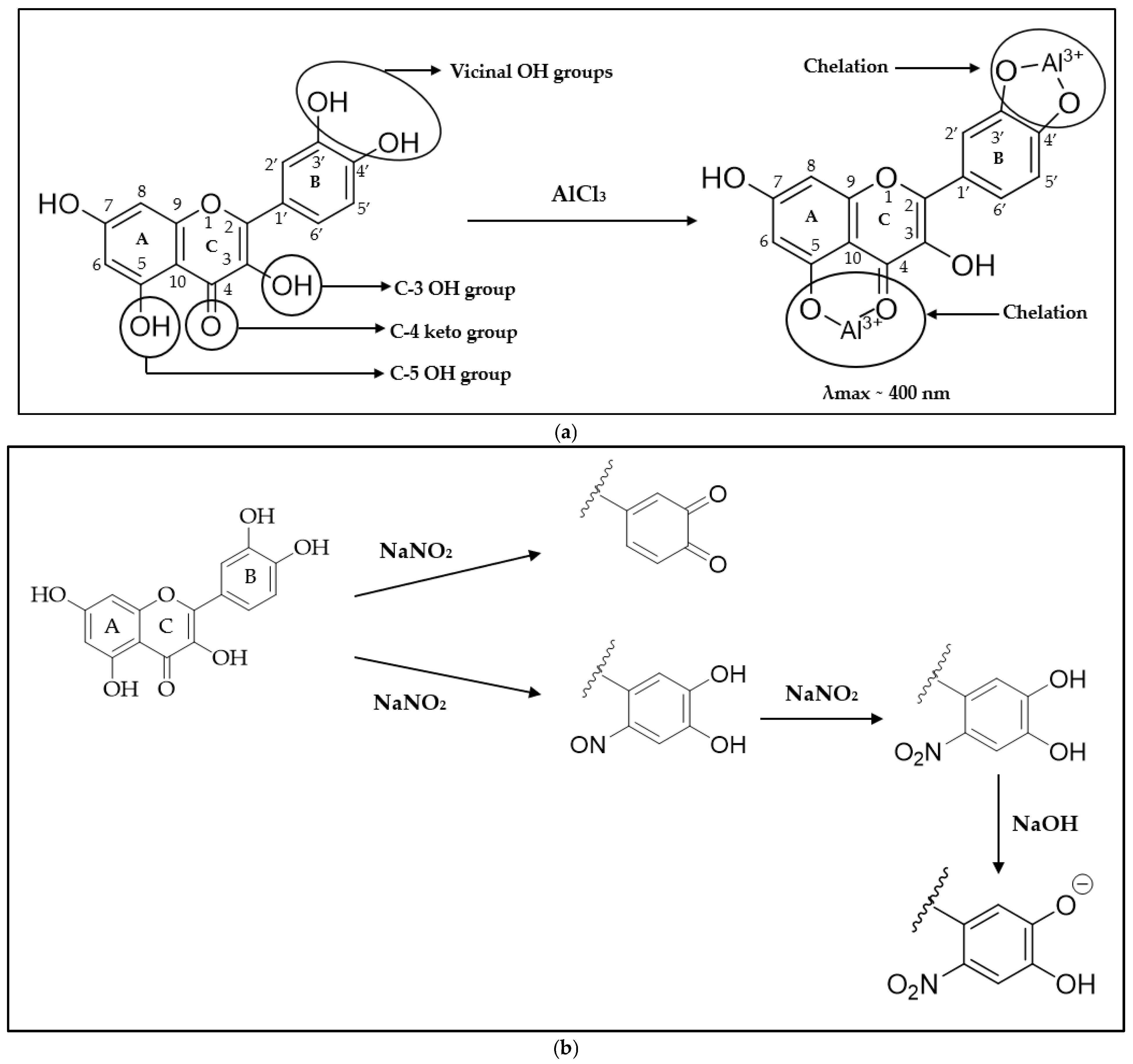 Molecules 29 05161 g002