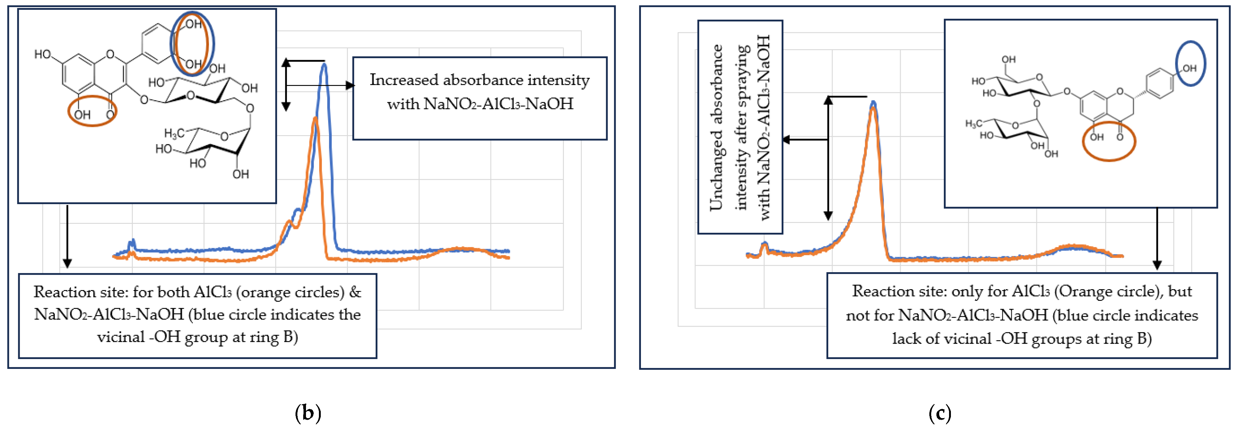 Molecules 29 05161 g003b