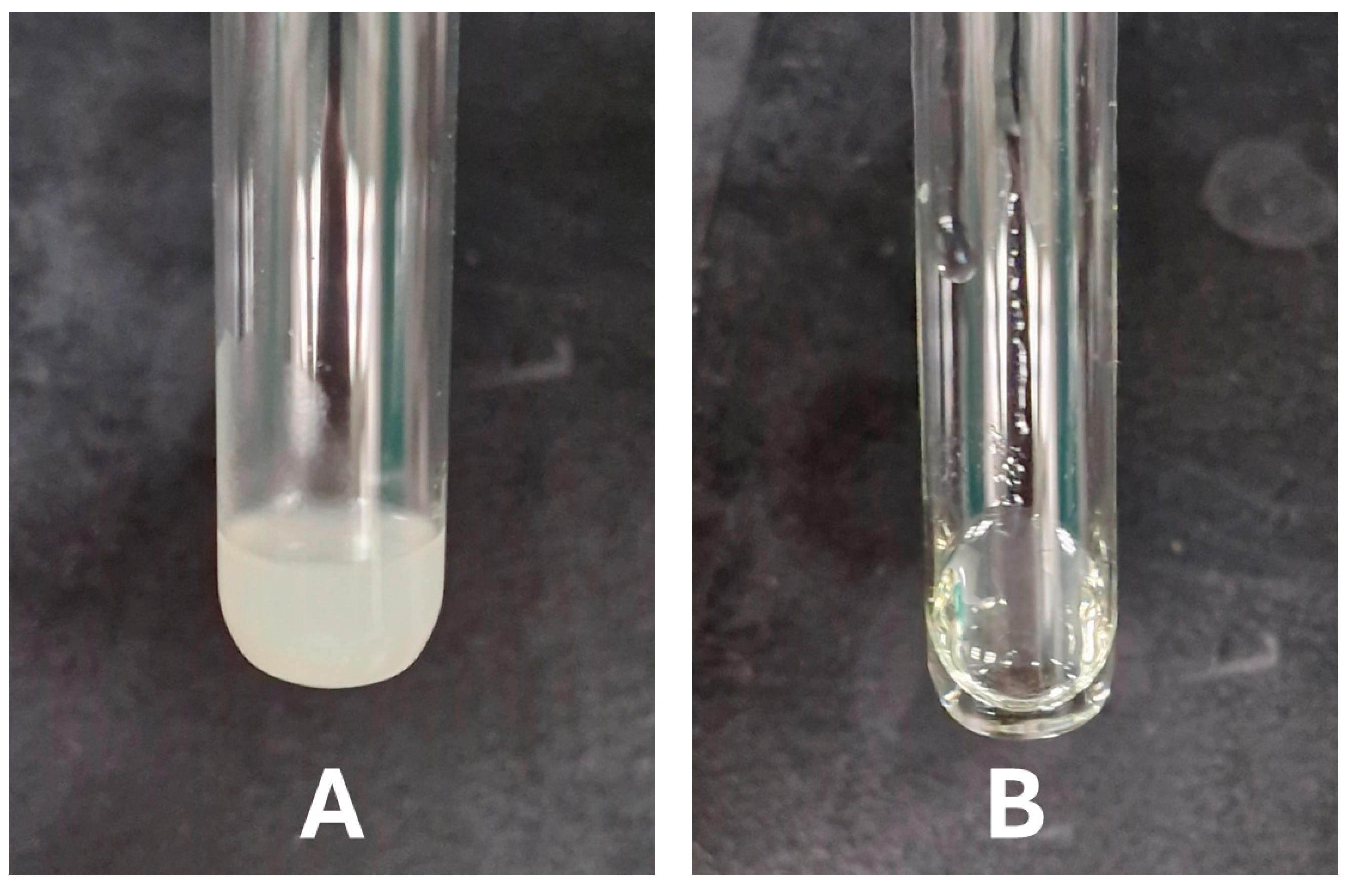 Molecules 29 05163 g003