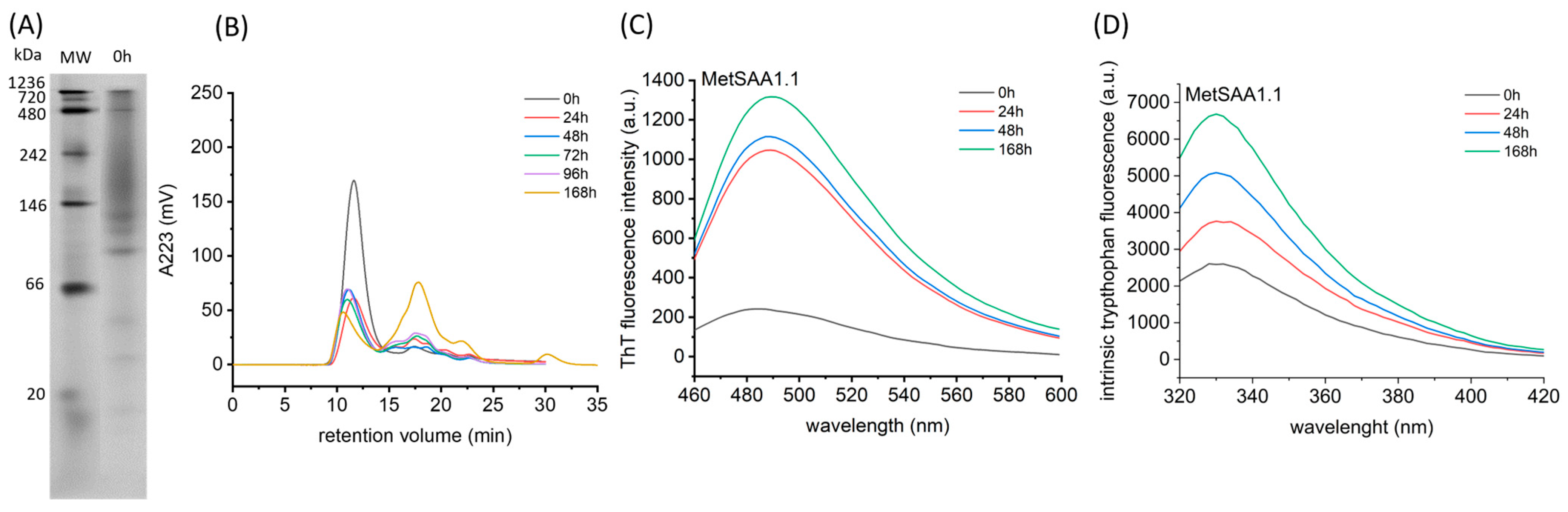 Molecules 29 05165 g001