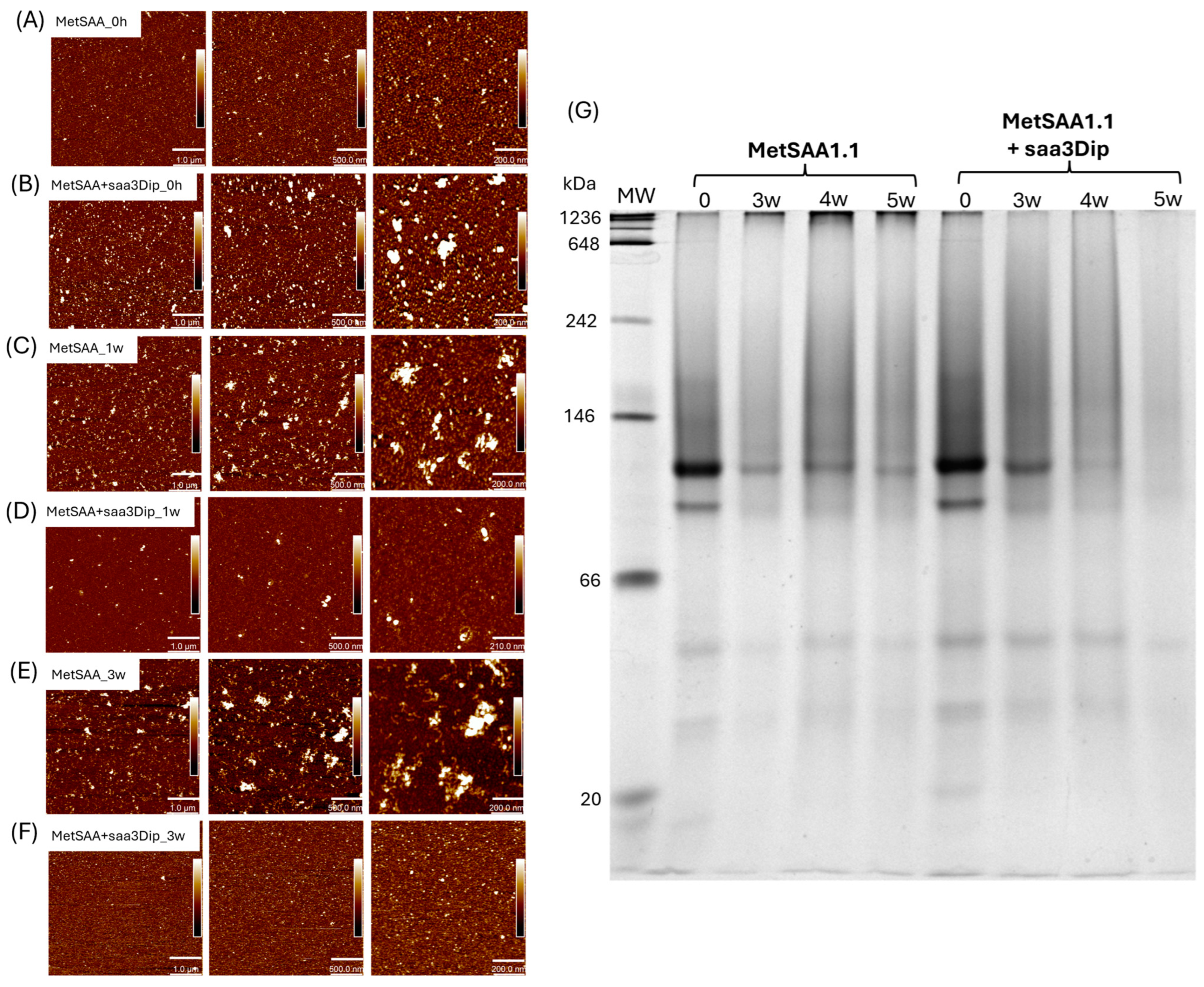 Molecules 29 05165 g003