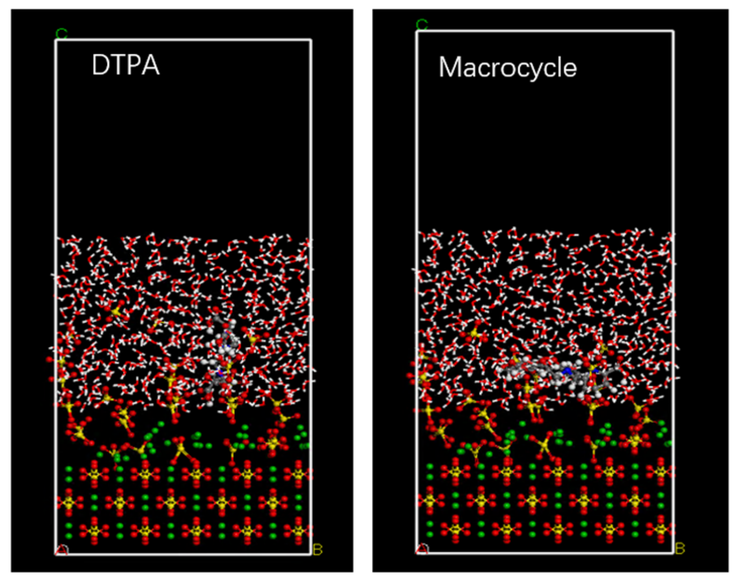 Molecules 29 05167 g007
