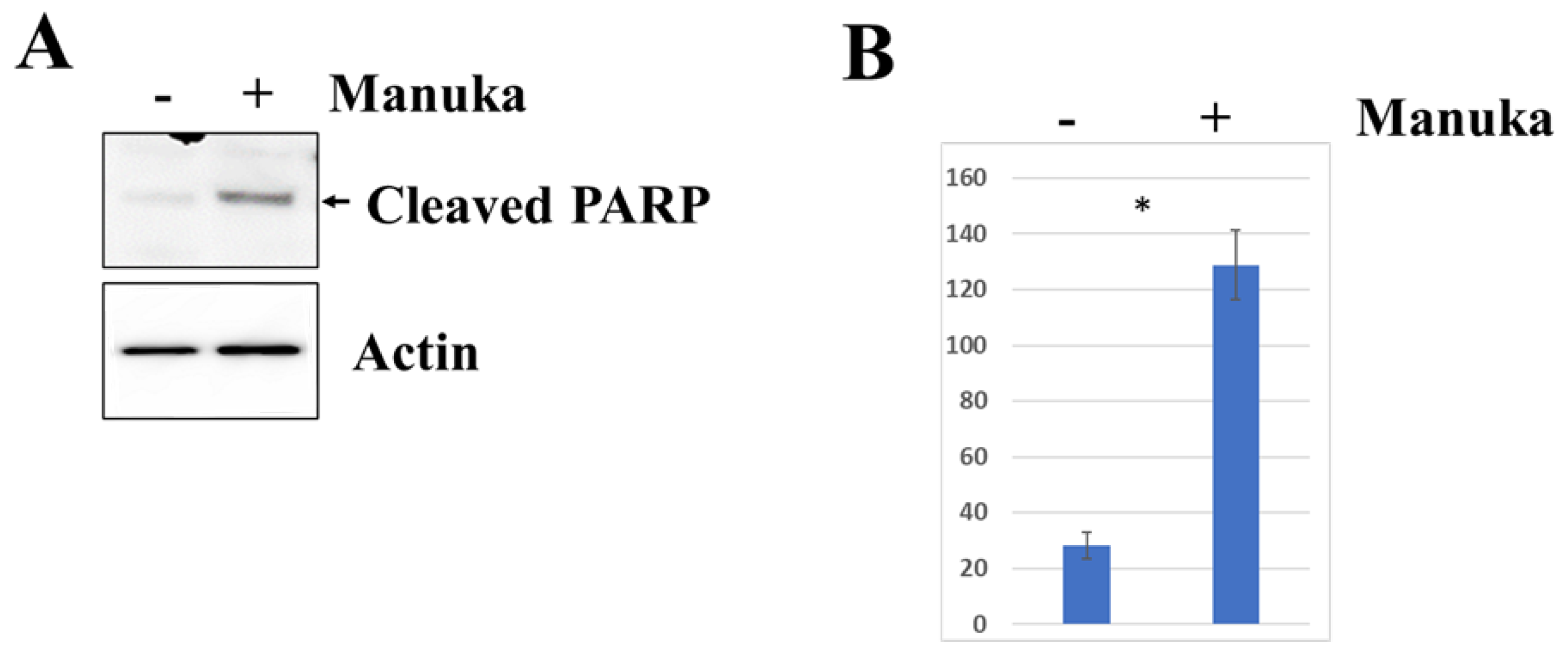 Molecules 29 05168 g005