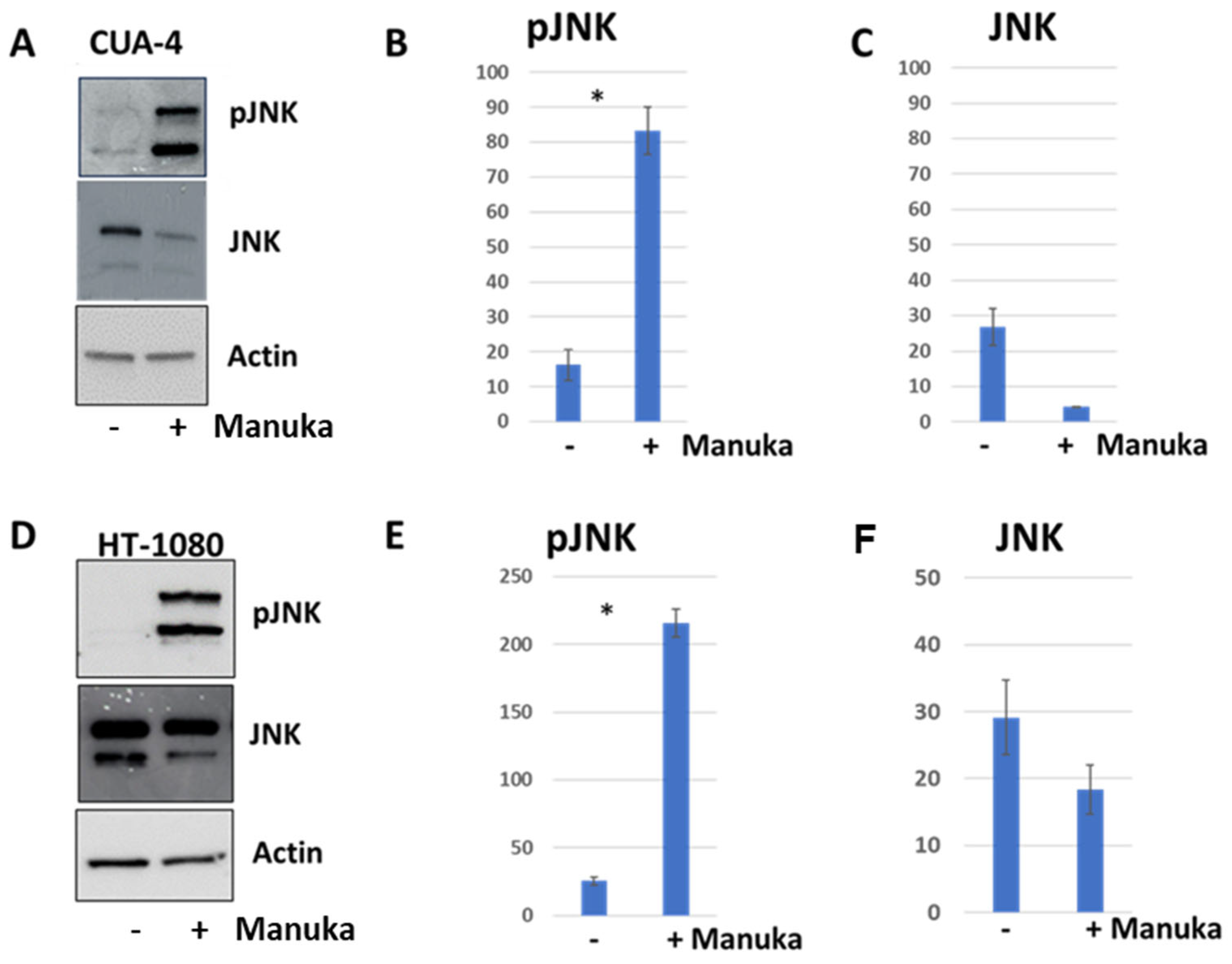 Molecules 29 05168 g008
