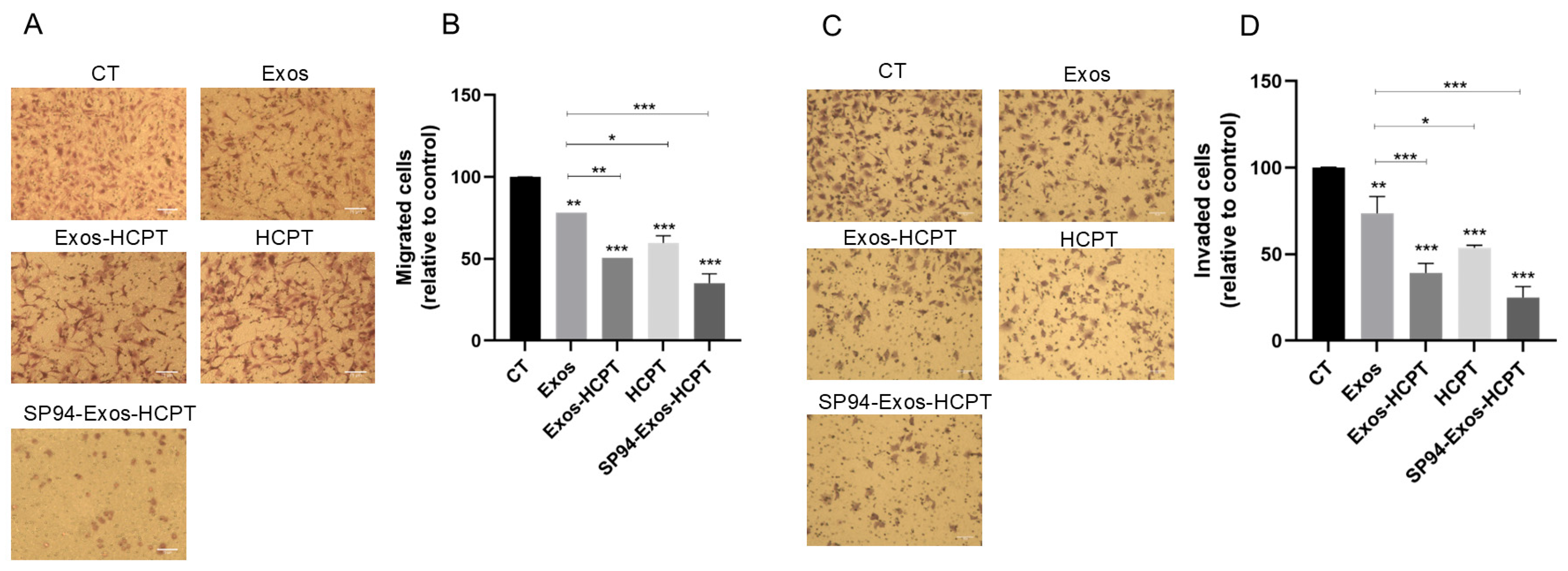 Molecules 29 05174 g004