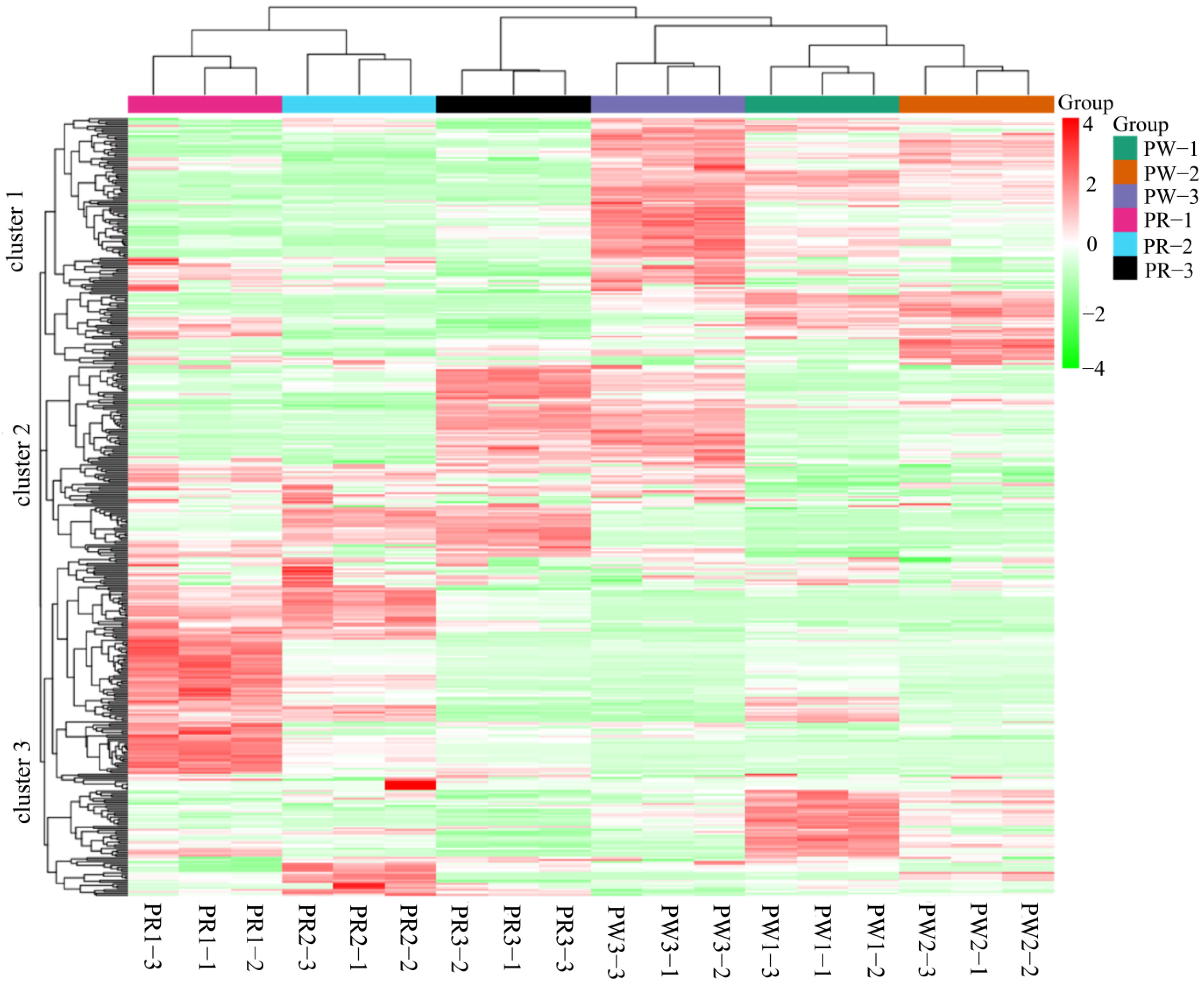 Molecules 29 05180 g004