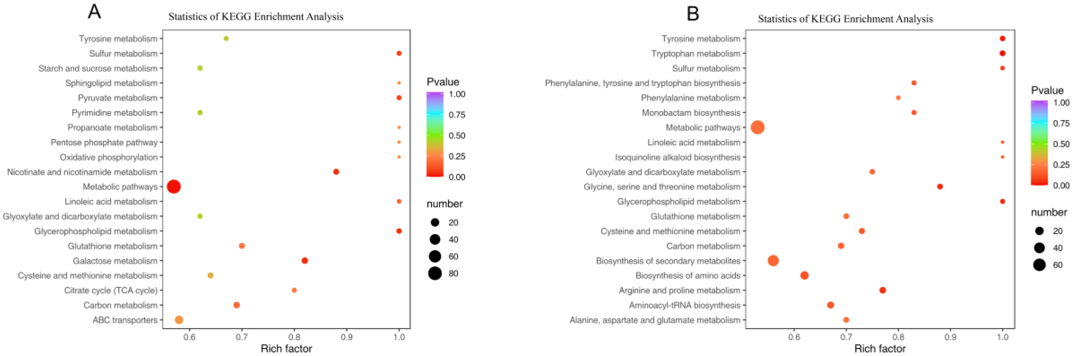 Molecules 29 05180 g009