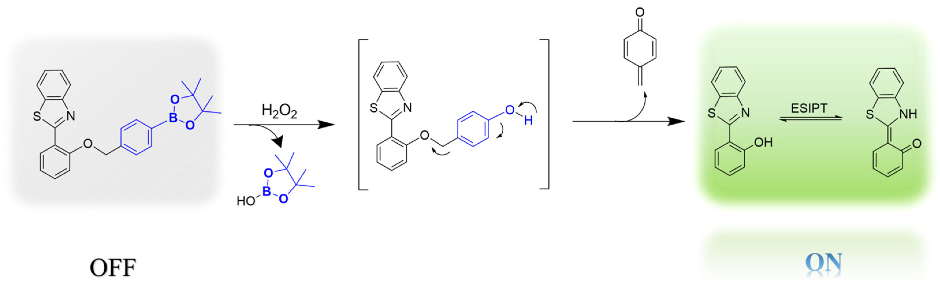 Molecules 29 05181 sch002