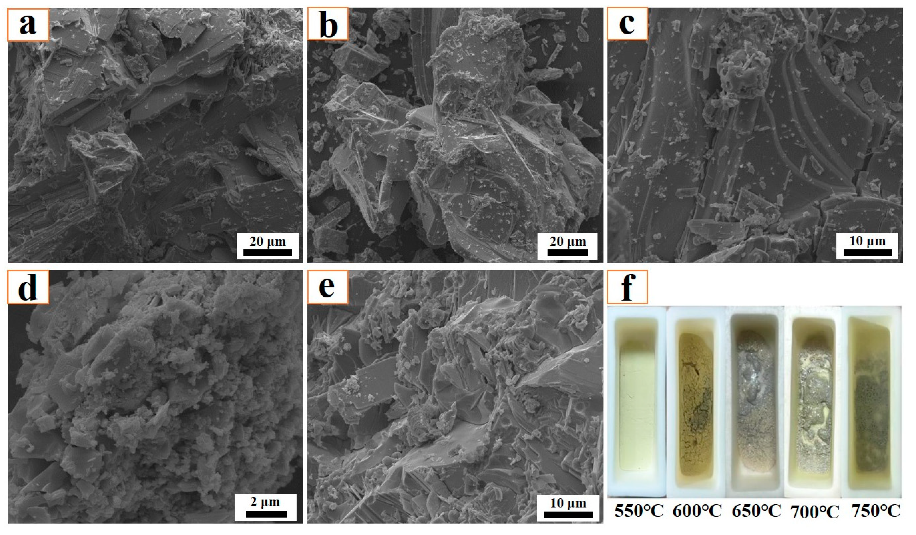 Molecules 29 05183 g005