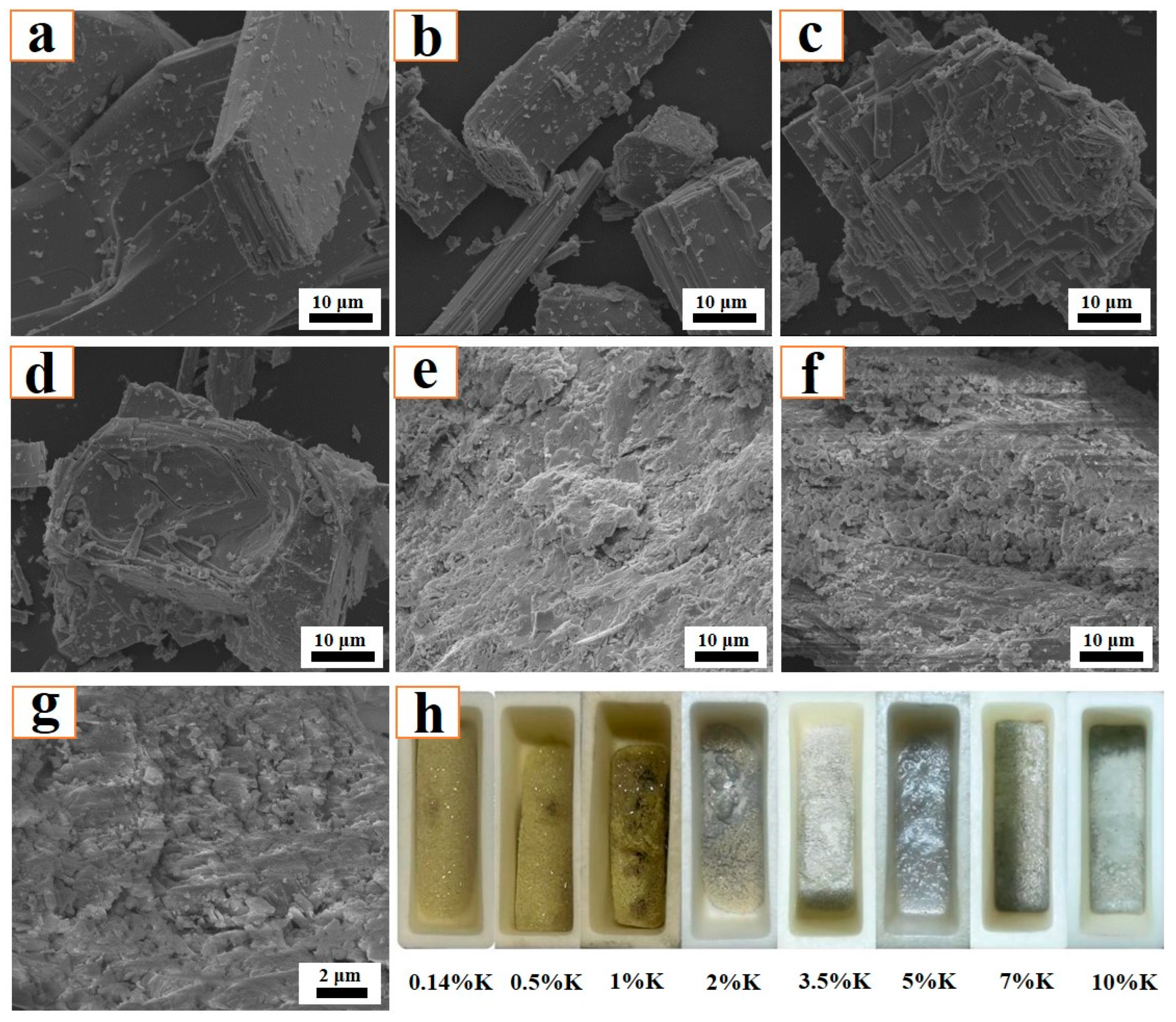 Molecules 29 05183 g006