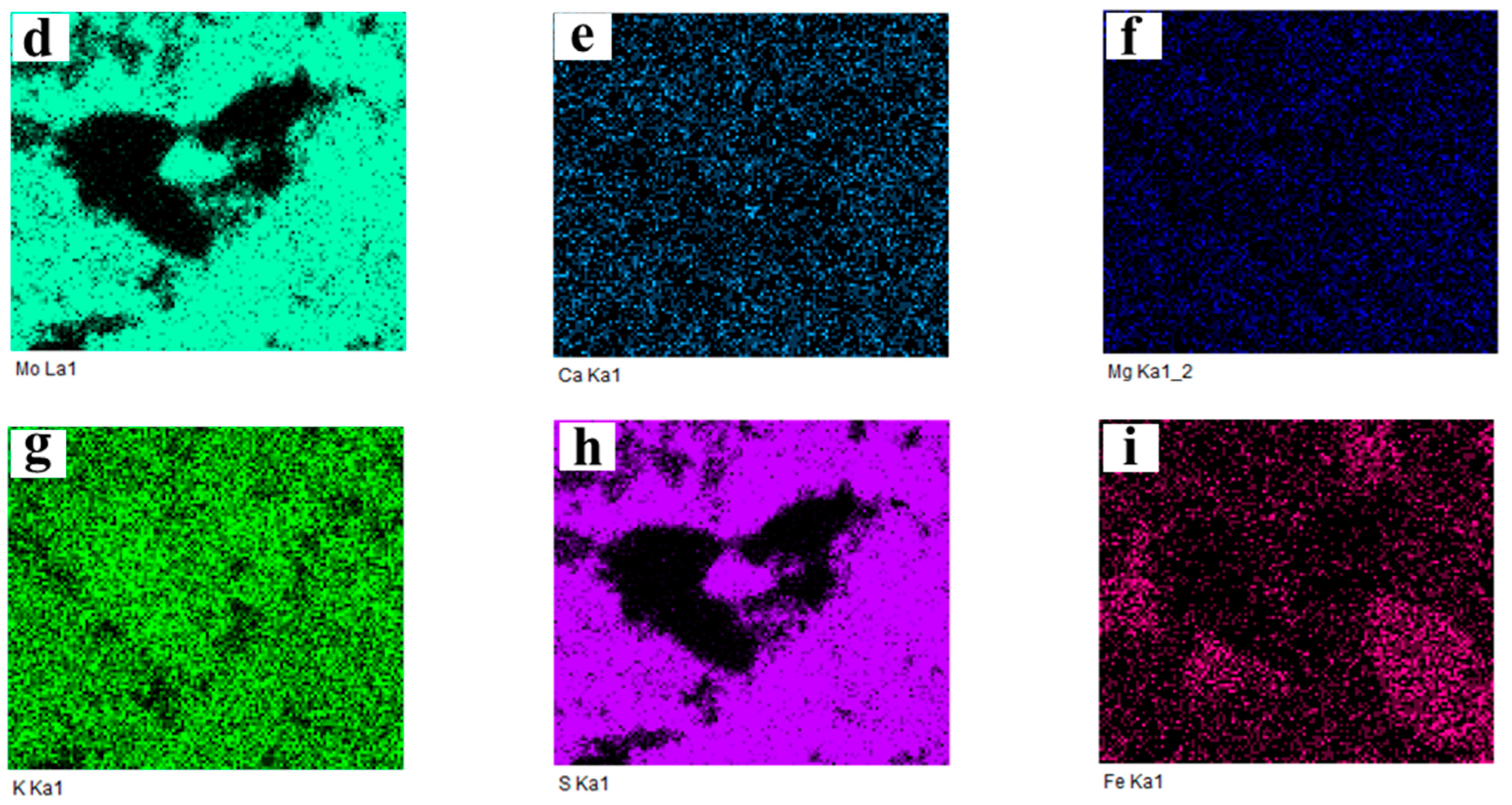 Molecules 29 05183 g009b