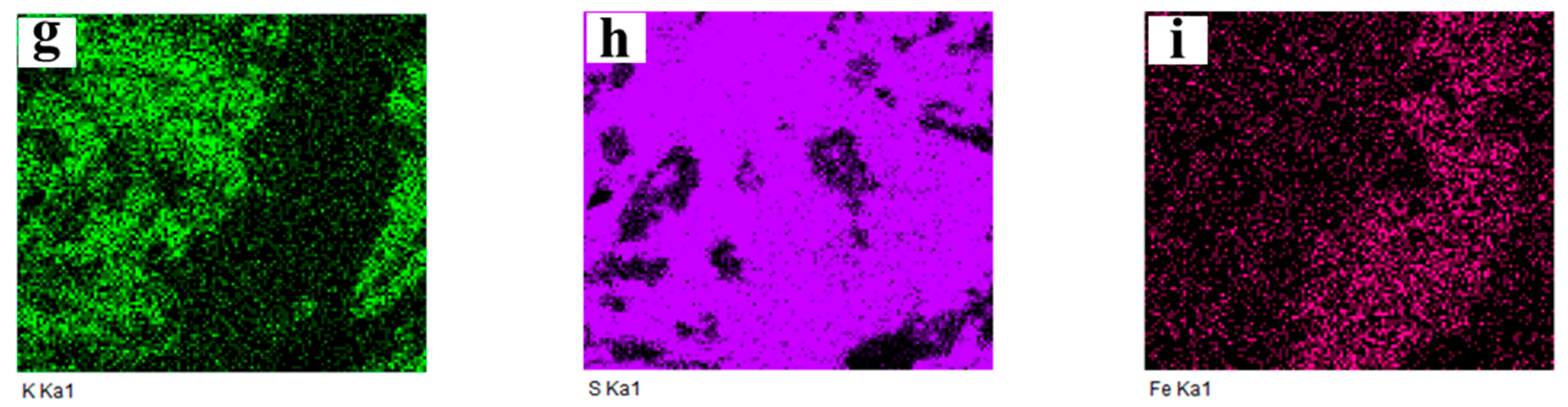 Molecules 29 05183 g010b