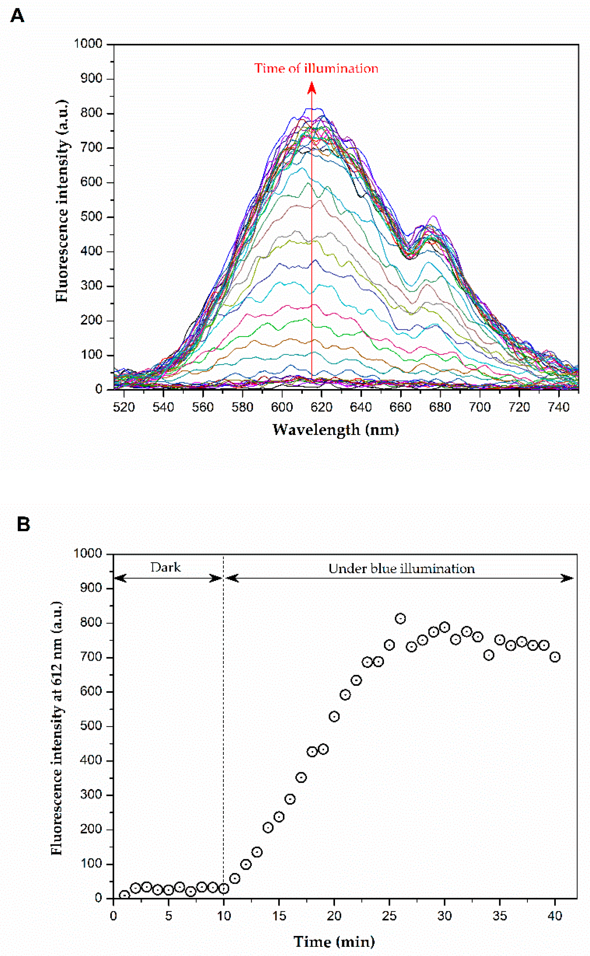 Molecules 29 05184 g003