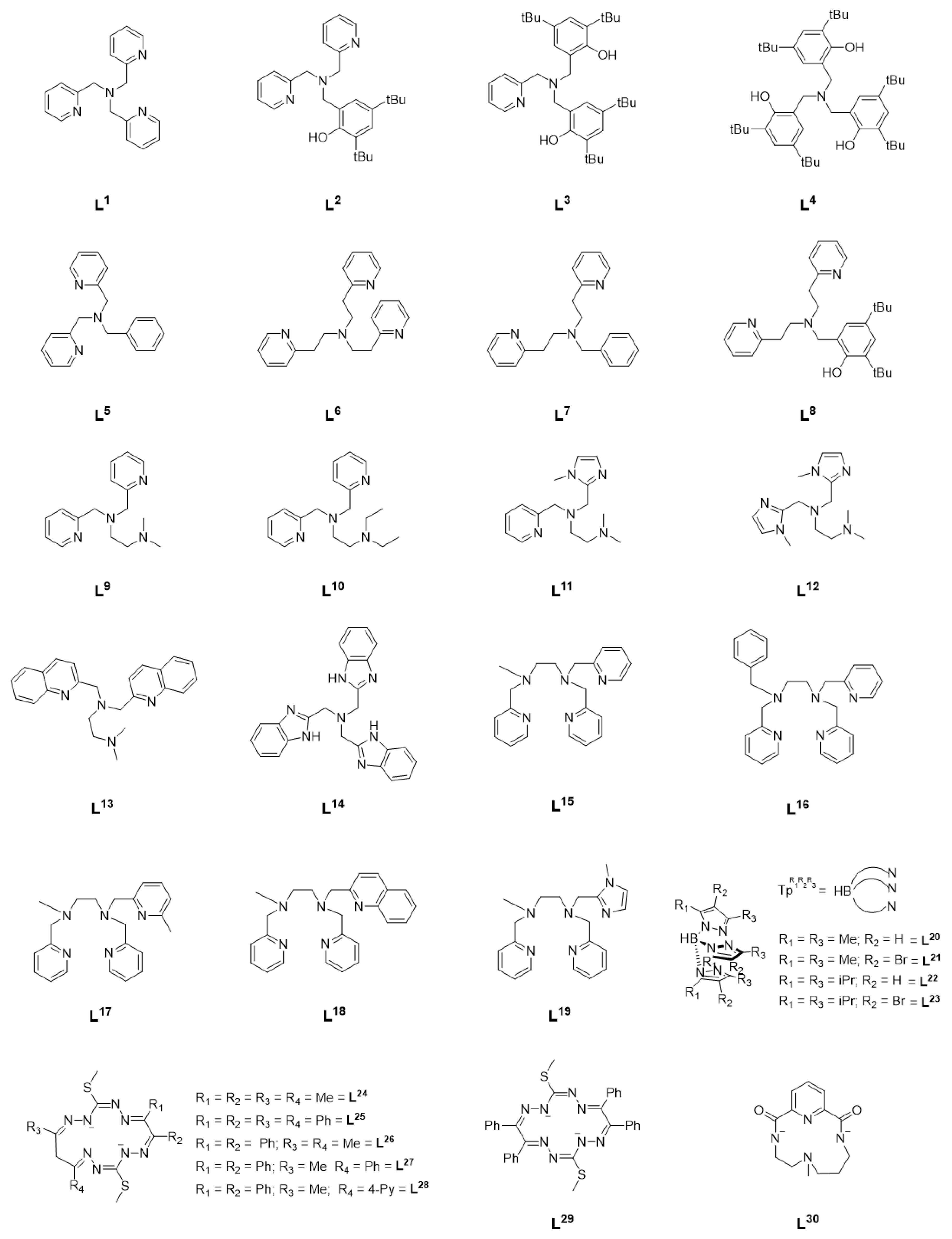 Molecules 29 05188 g001