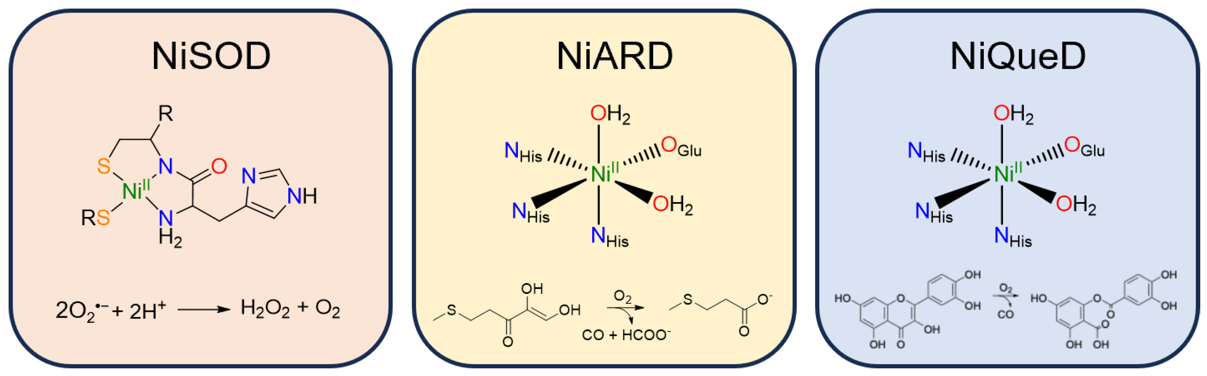 Molecules 29 05188 g003