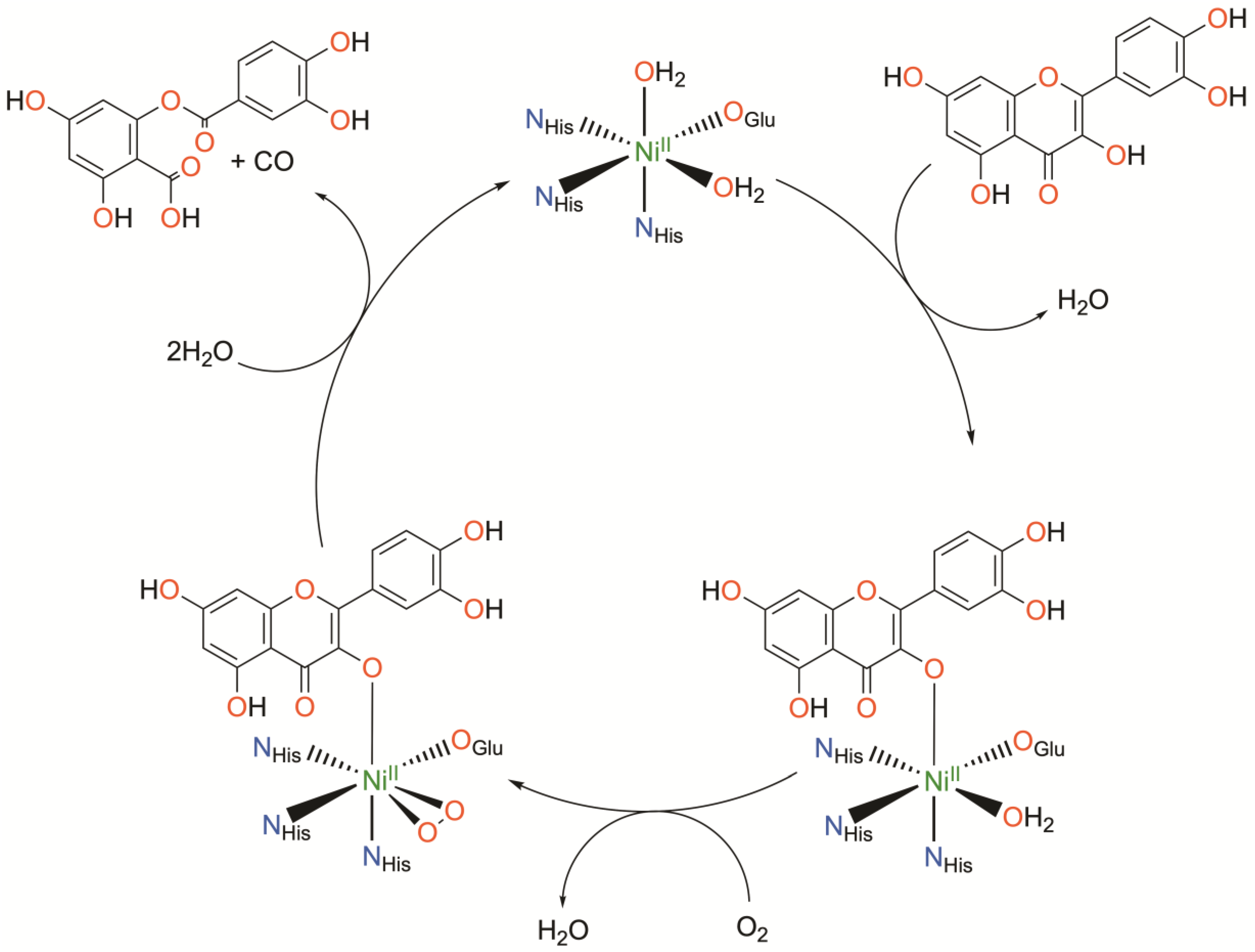Molecules 29 05188 g004