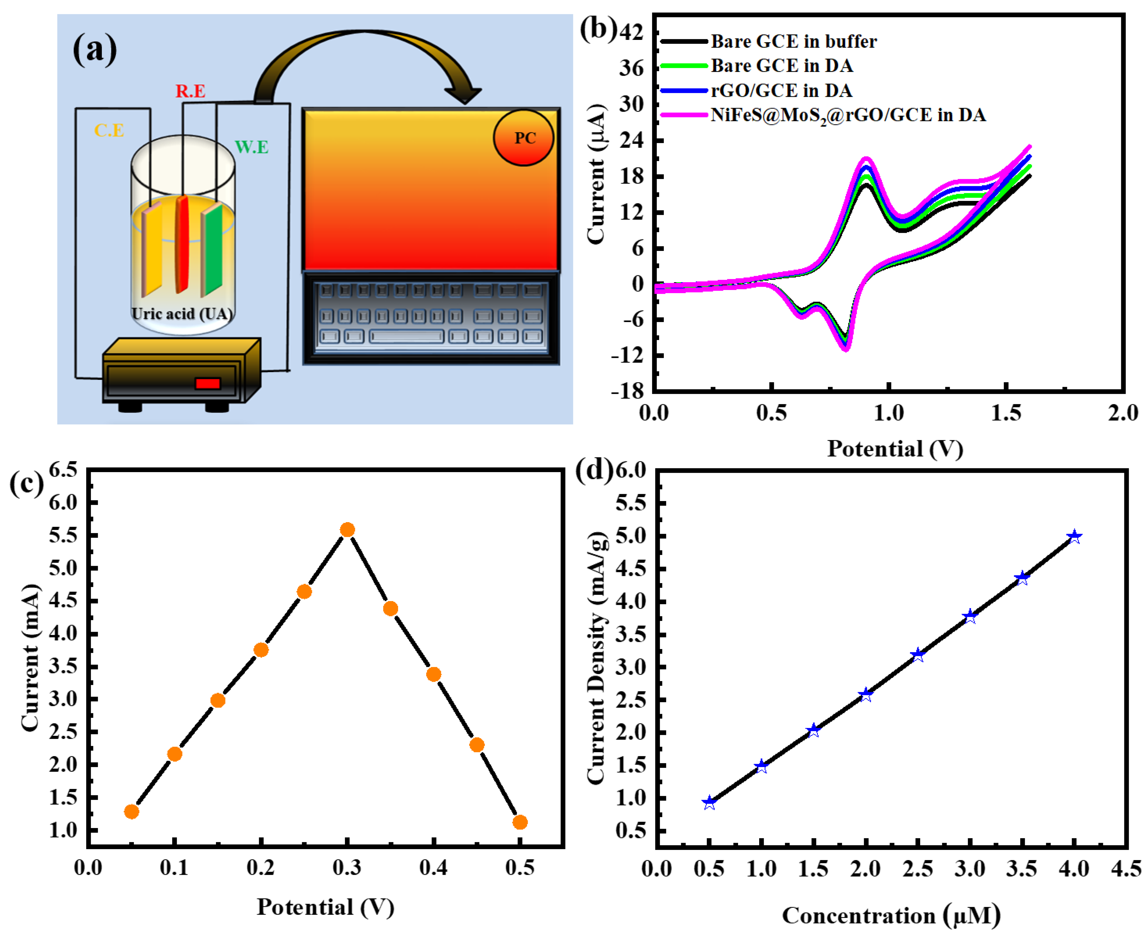 Molecules 29 05195 g012