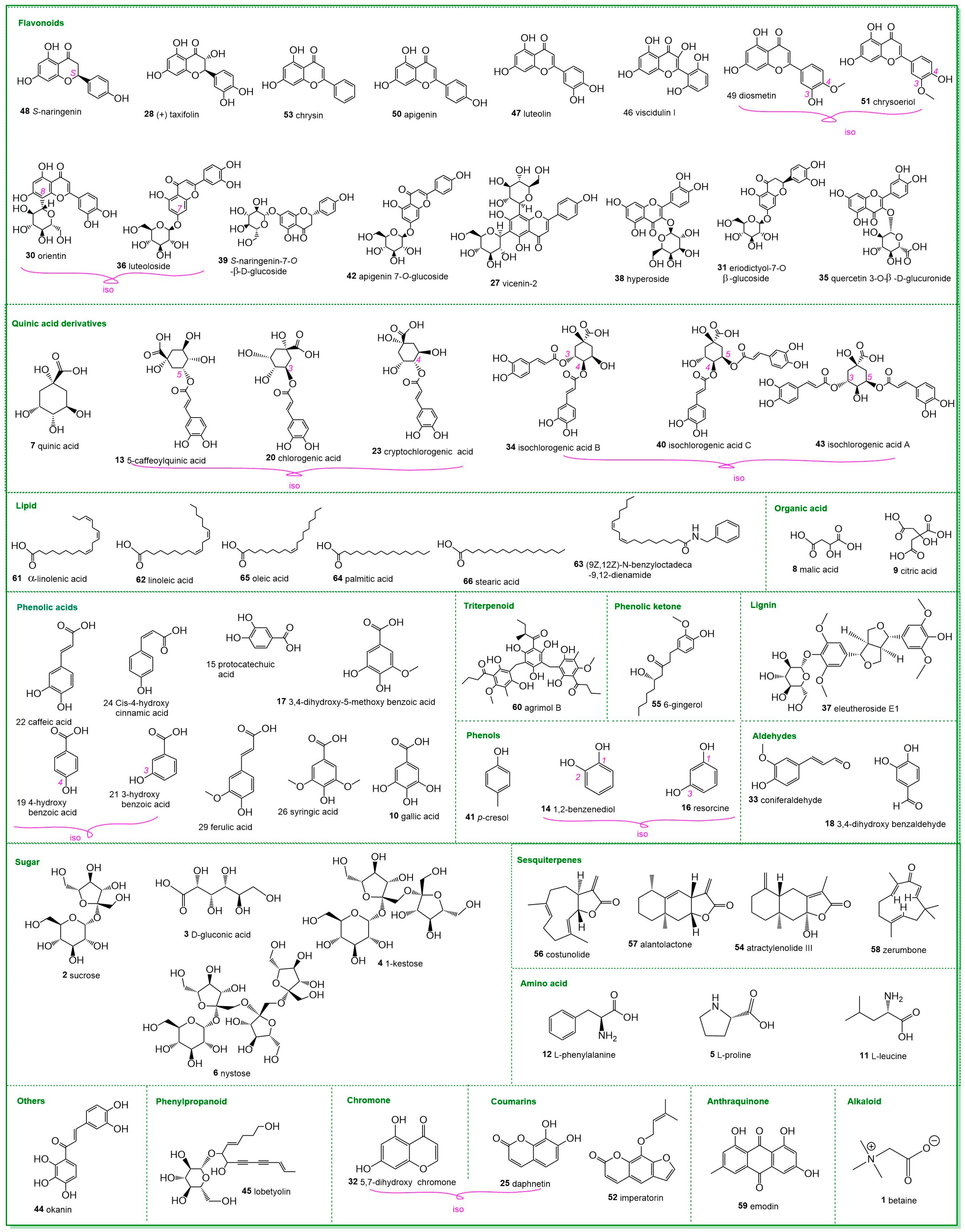 Molecules 29 05203 g002