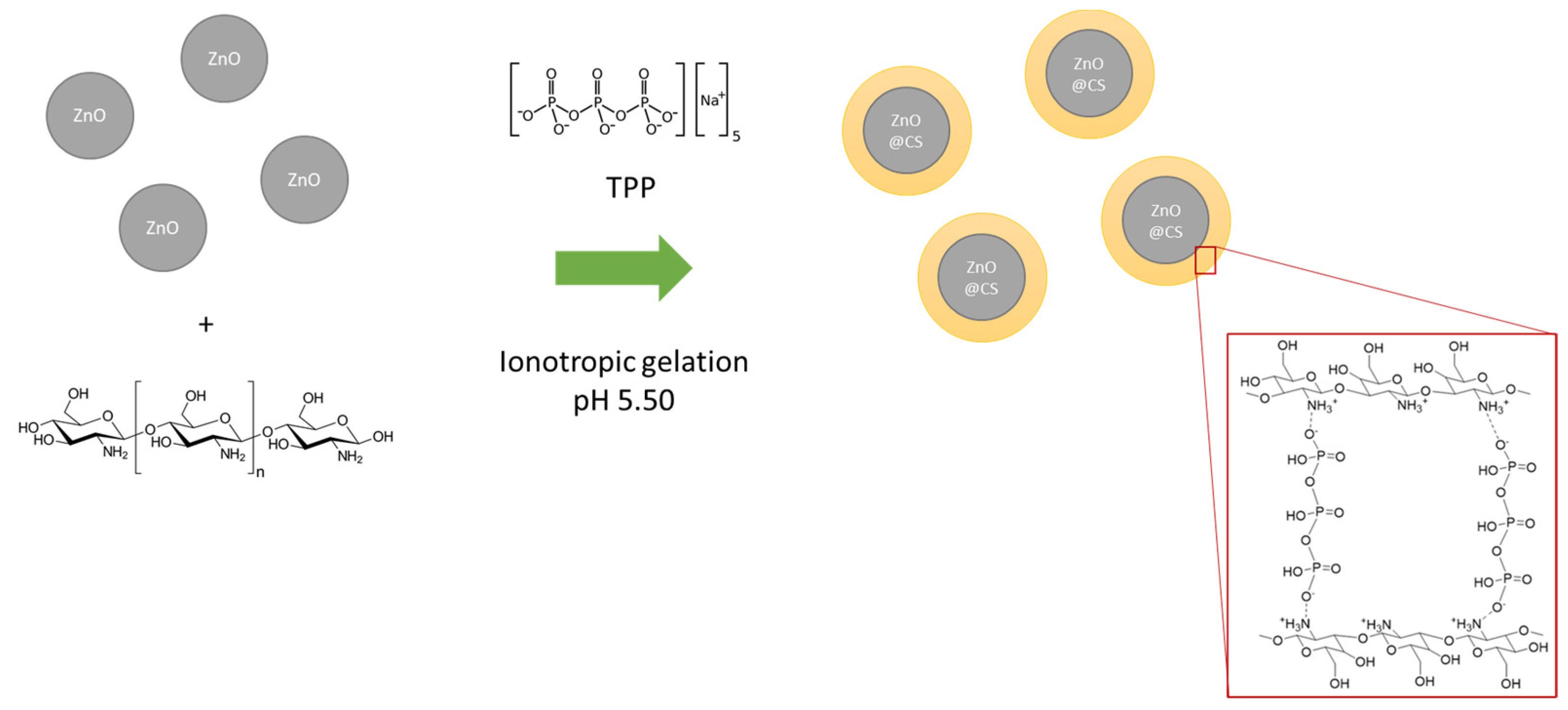 Molecules 29 05204 g001