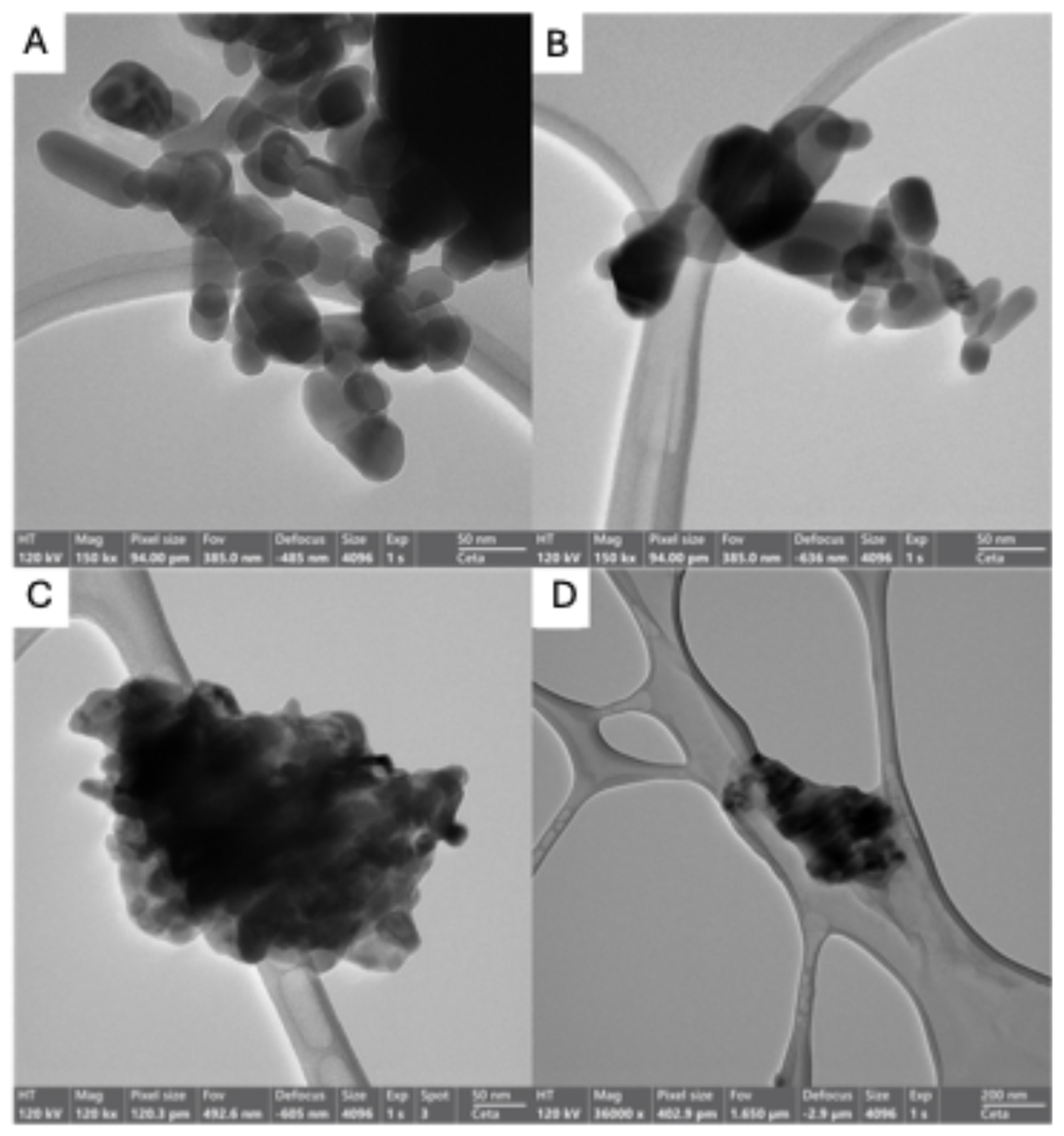 Molecules 29 05204 g007