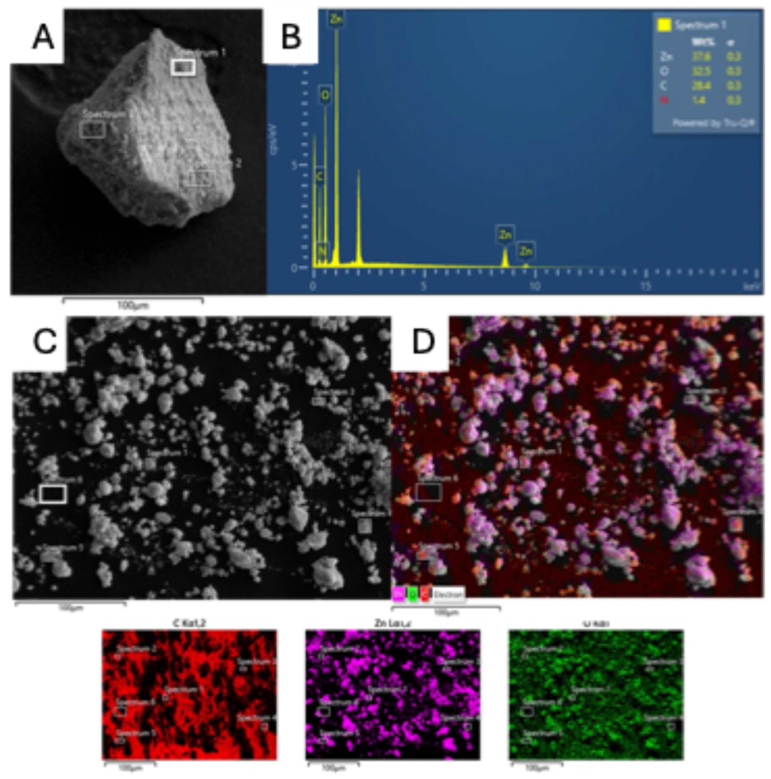Molecules 29 05204 g008