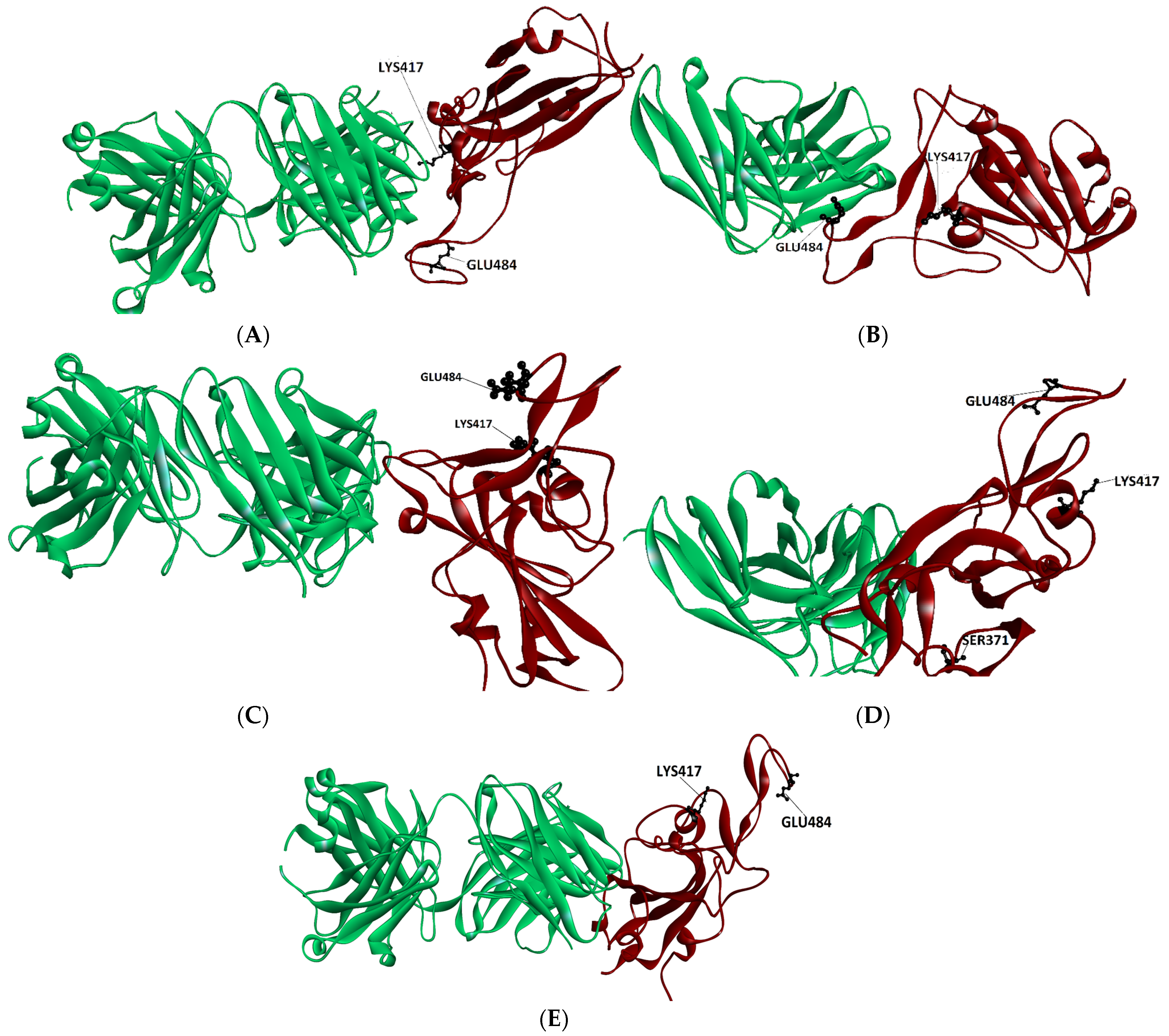 Molecules 29 05206 g001