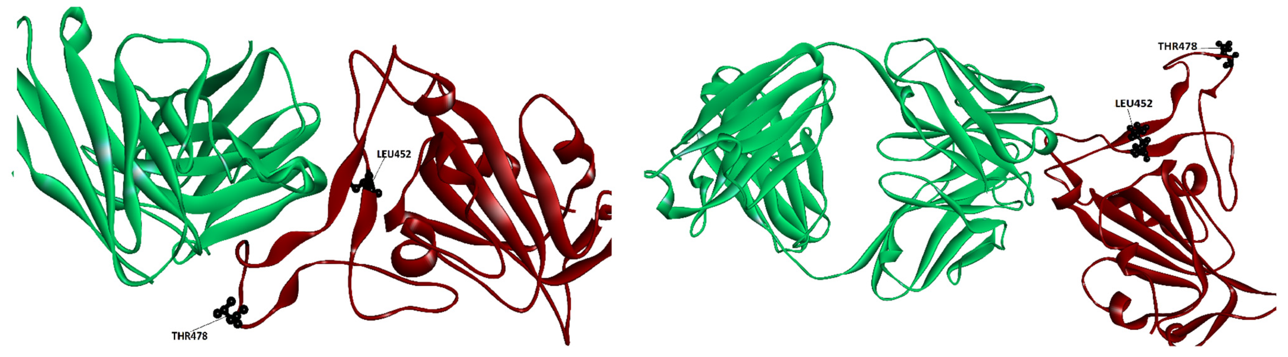 Molecules 29 05206 g002
