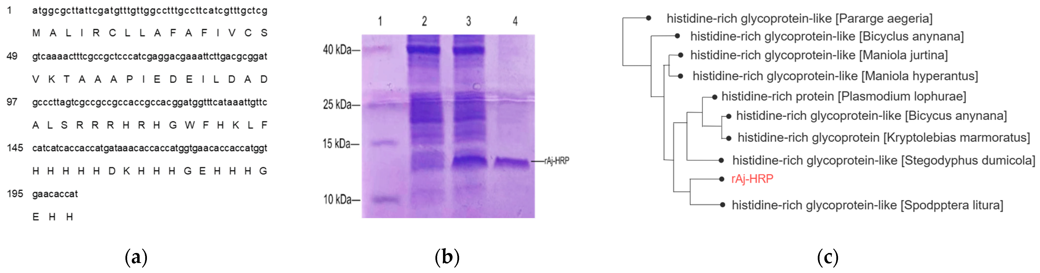 Molecules 29 05214 g001