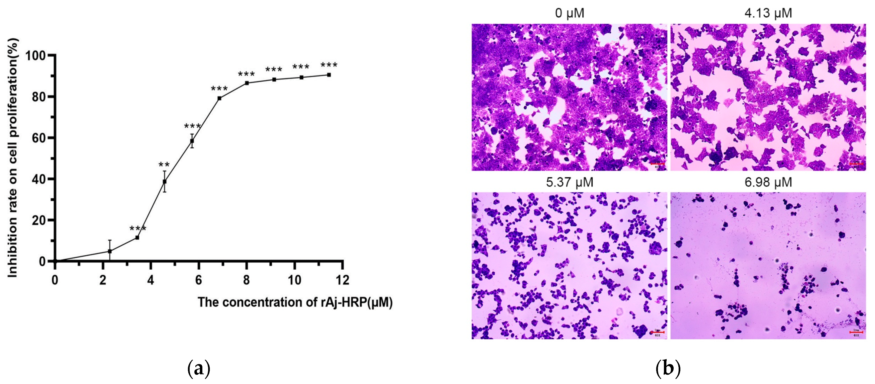 Molecules 29 05214 g002