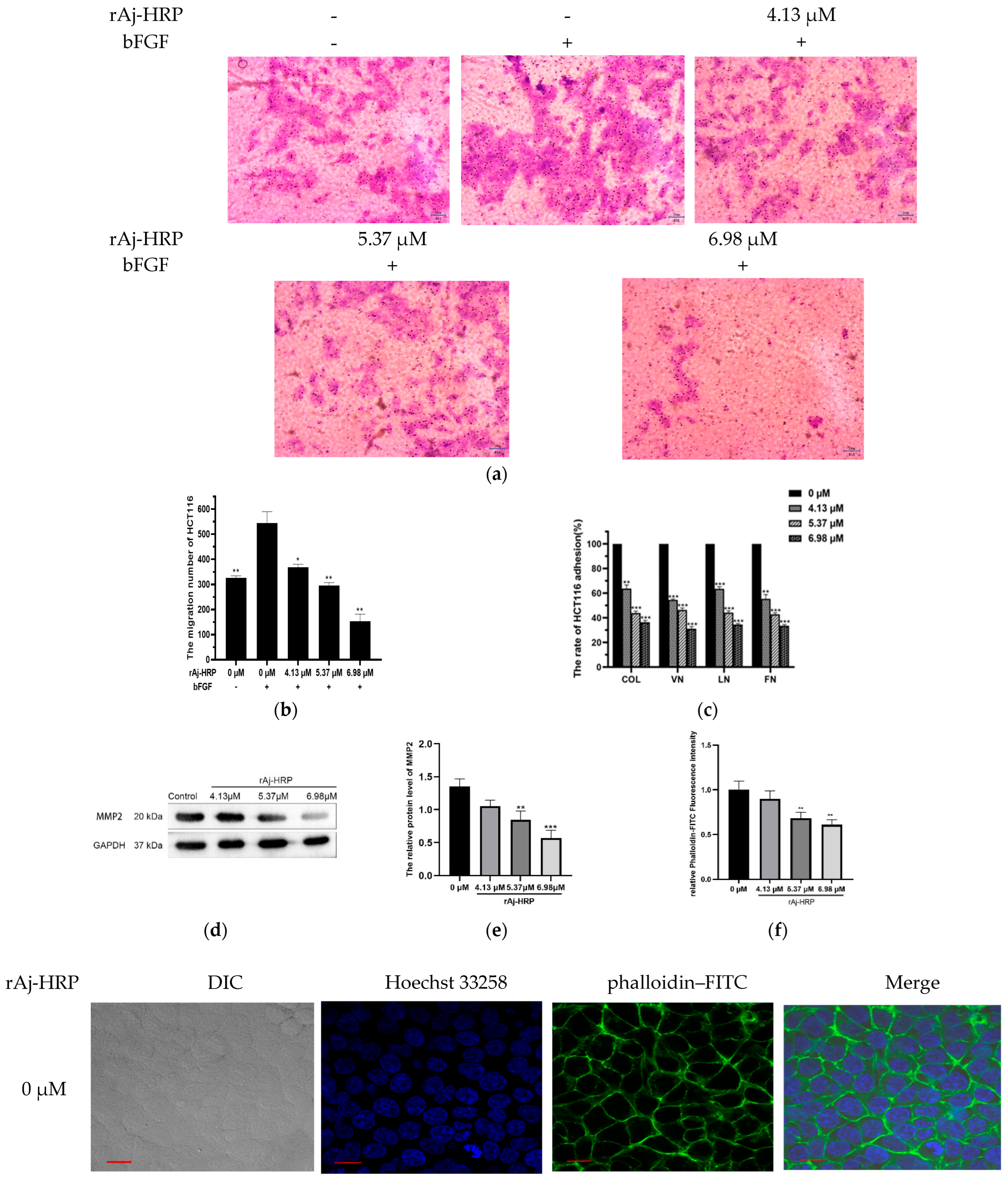 Molecules 29 05214 g003a