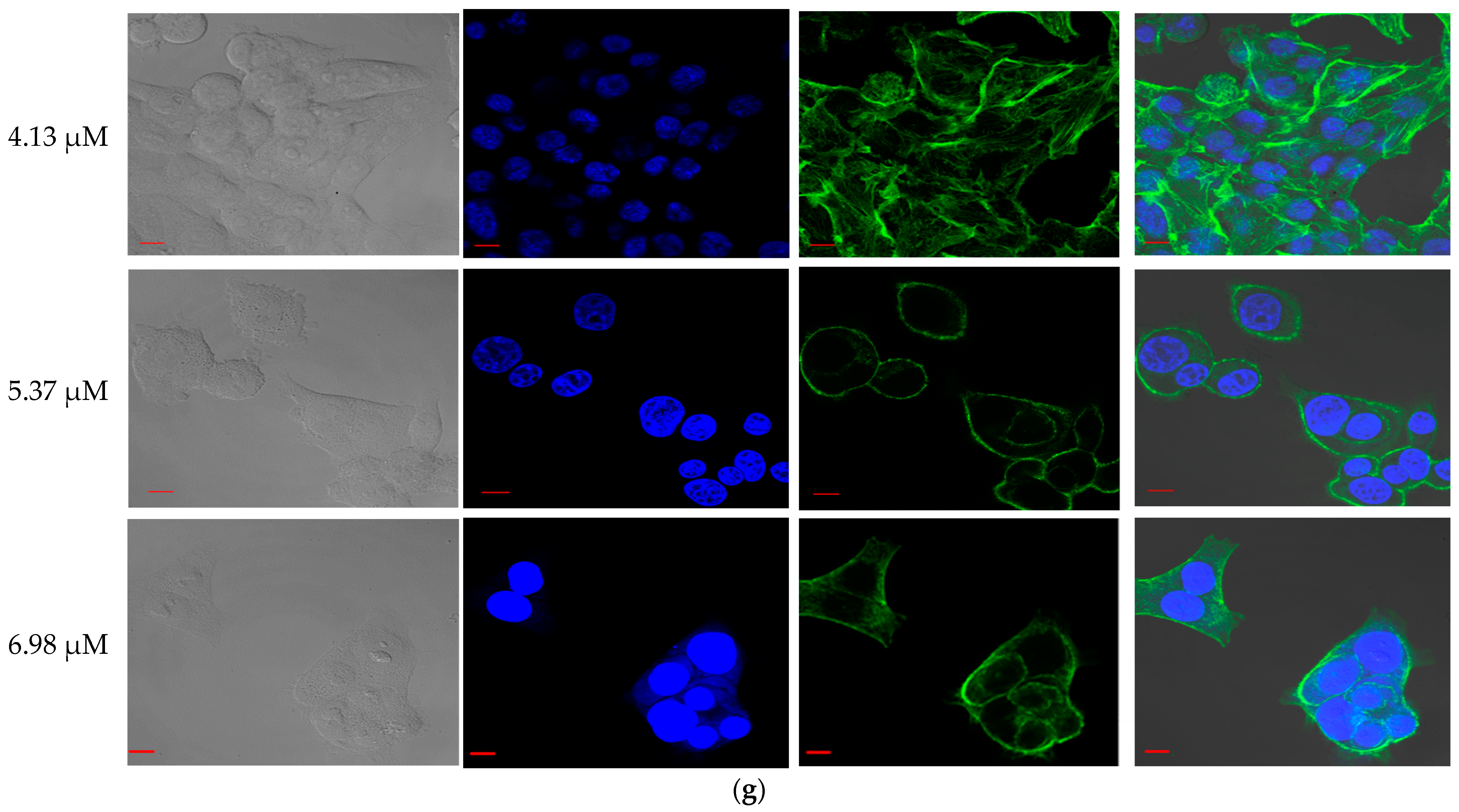 Molecules 29 05214 g003b