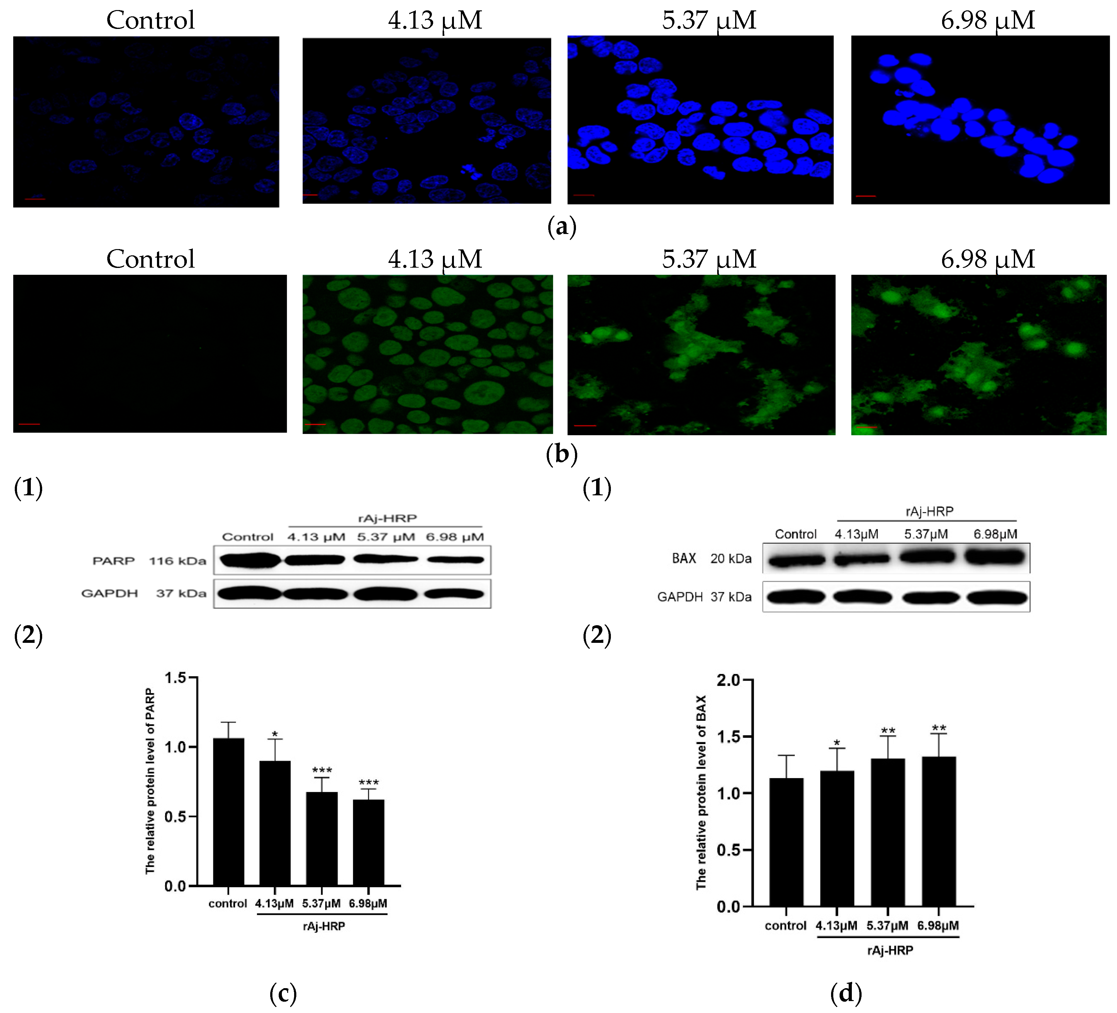 Molecules 29 05214 g004