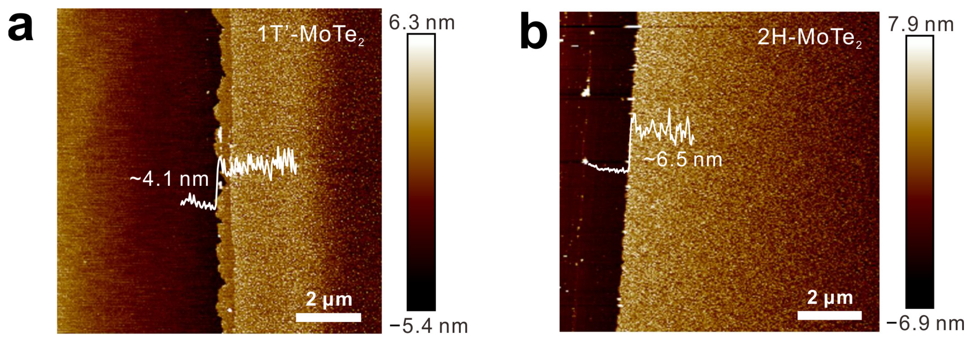 Molecules 29 05216 g002