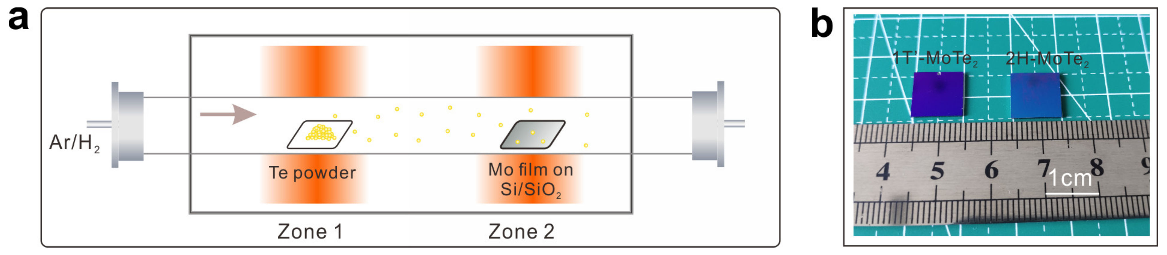 Molecules 29 05216 g007