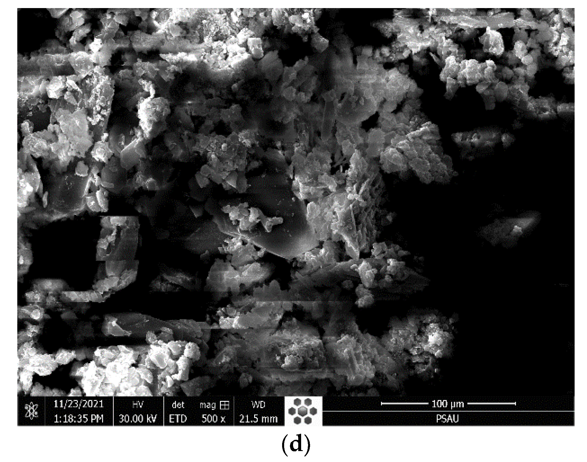 Molecules 29 05217 g004b