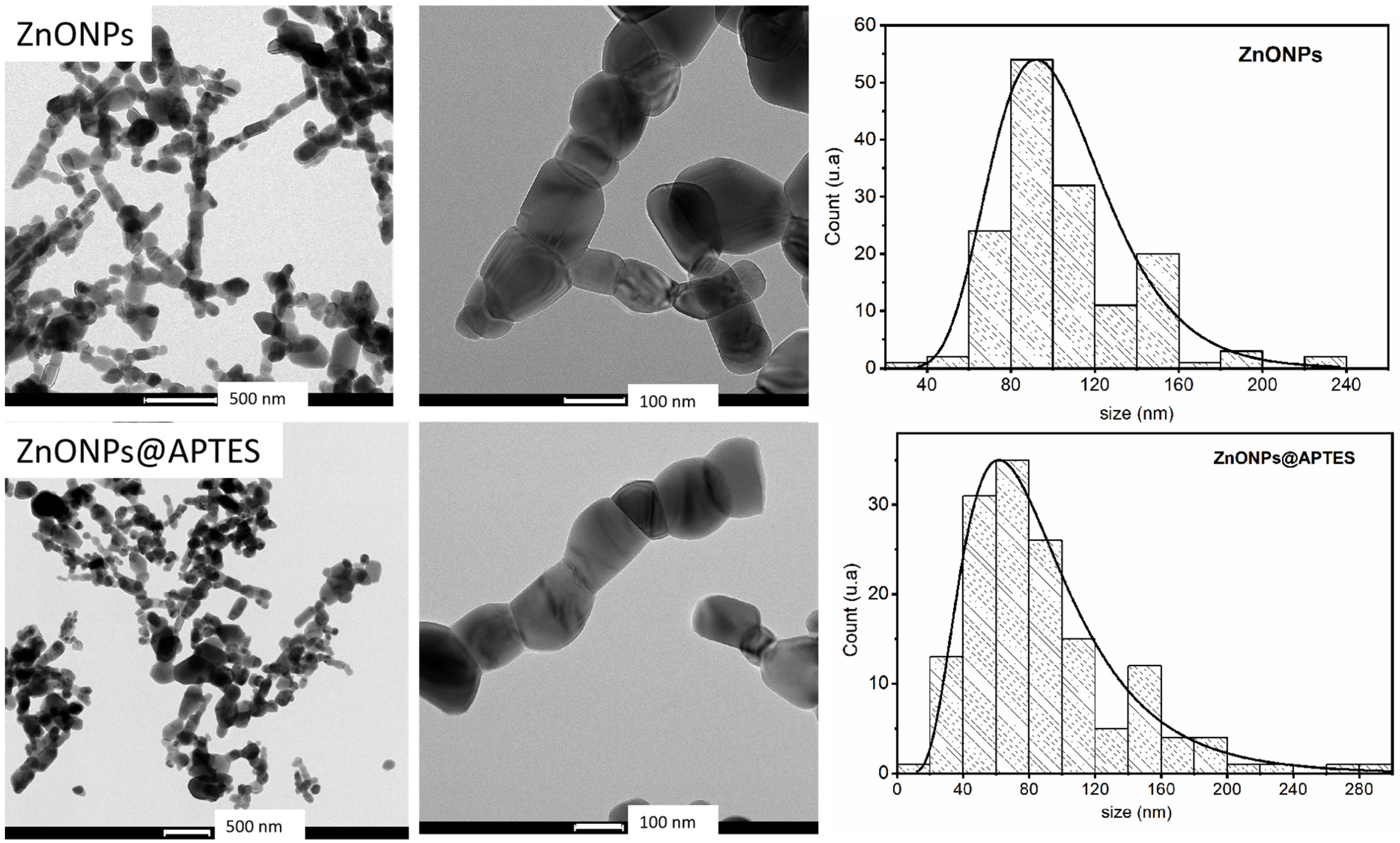 Molecules 29 05219 g004