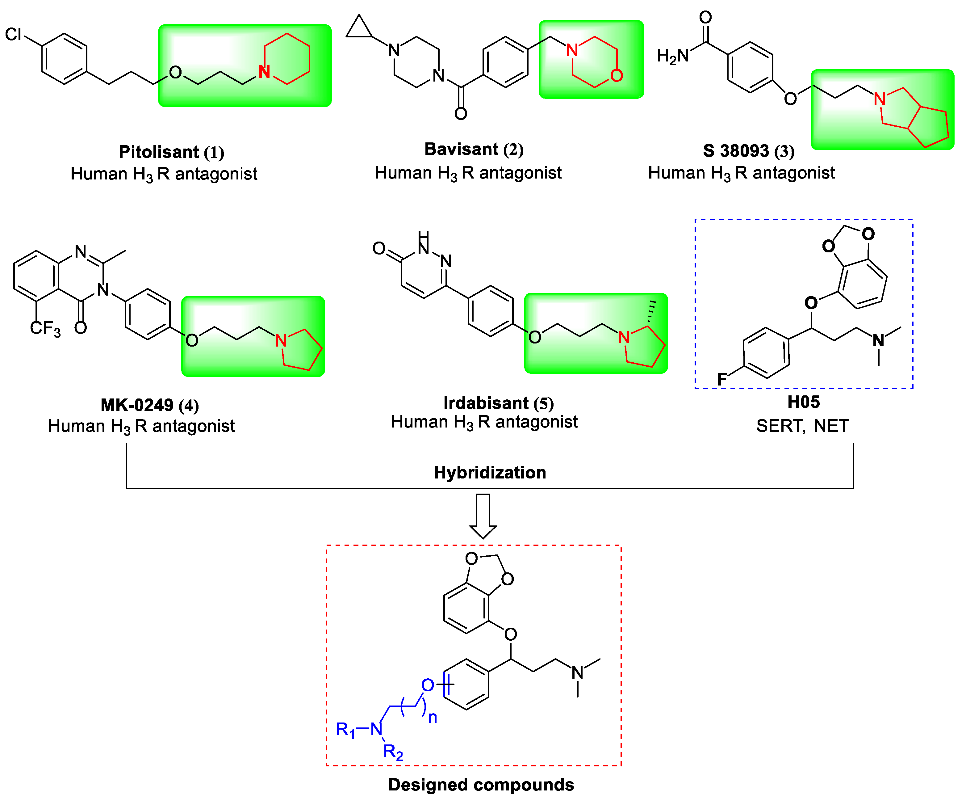 Molecules 29 05240 g001