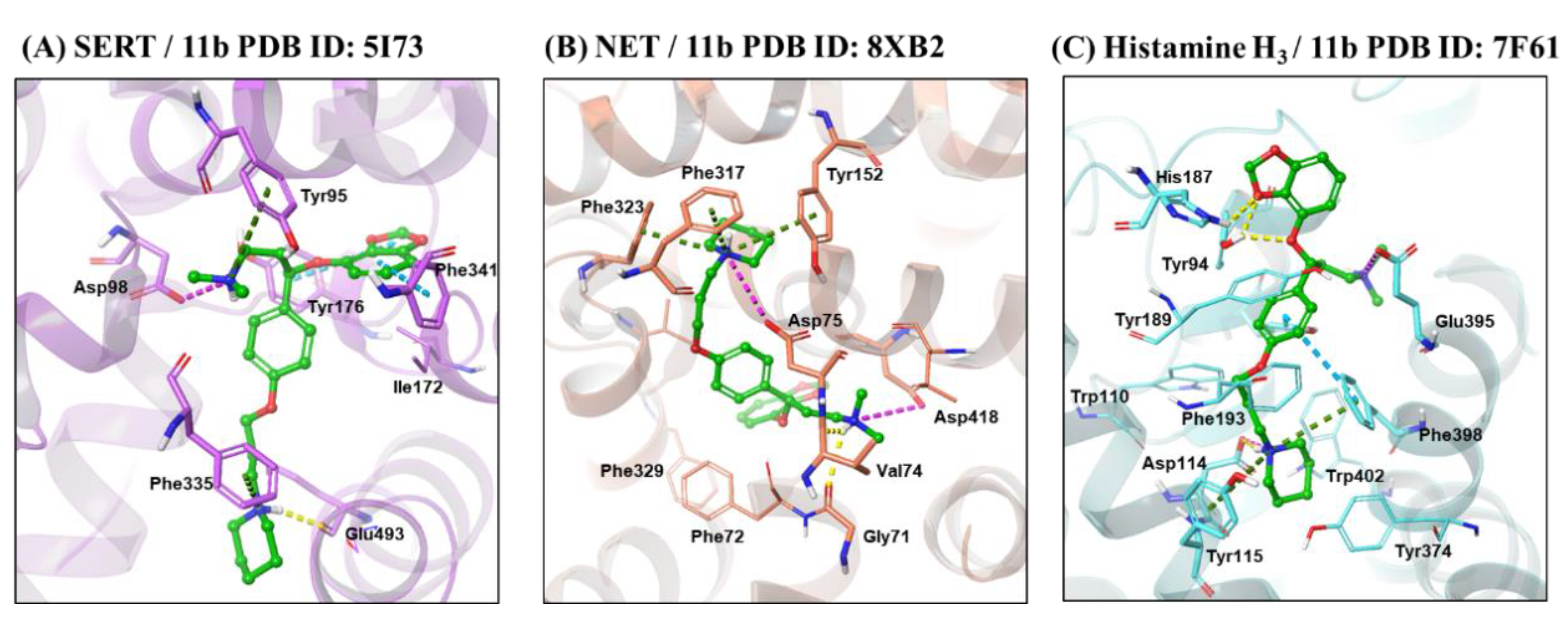 Molecules 29 05240 g002