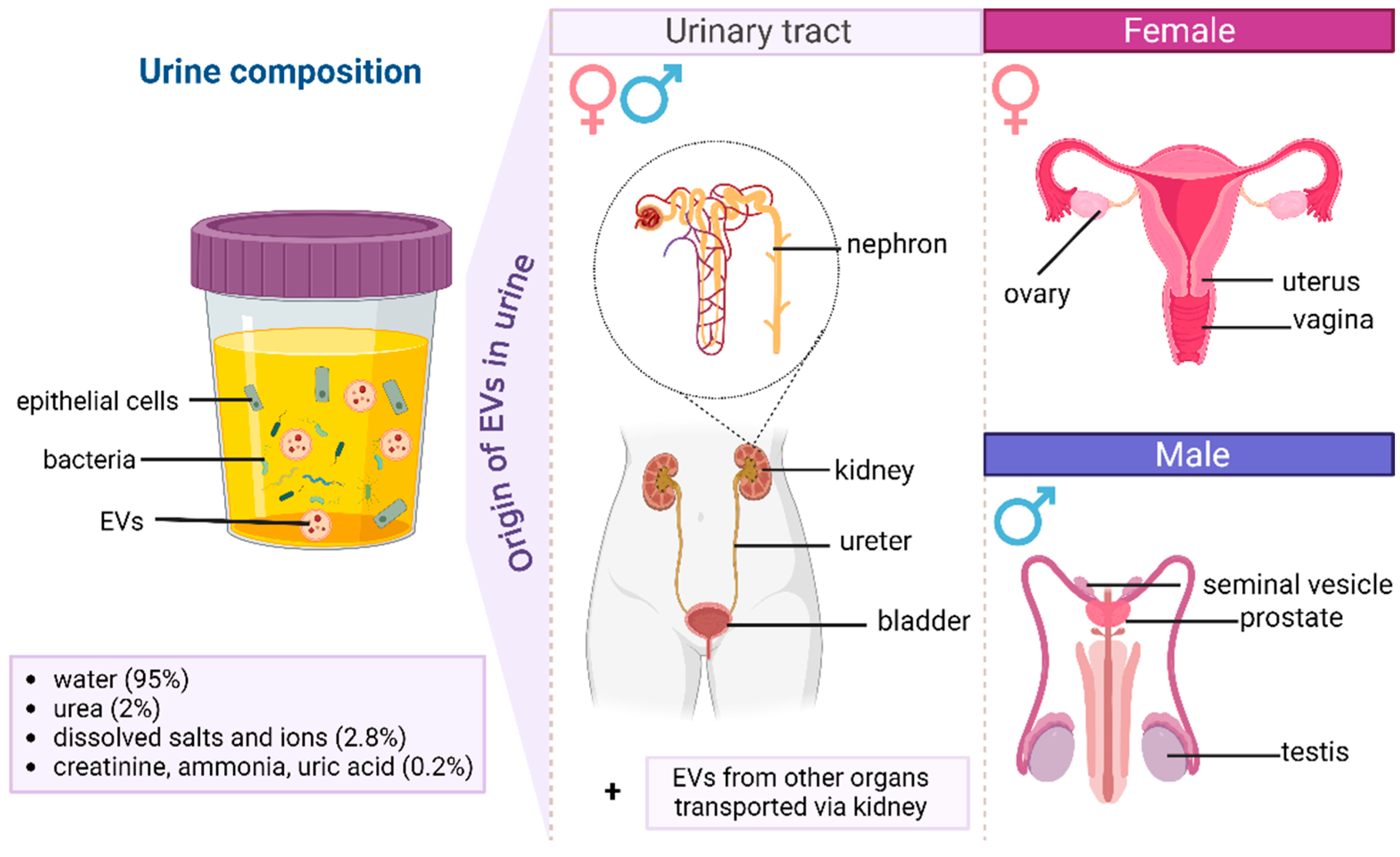 Molecules 29 05241 g001