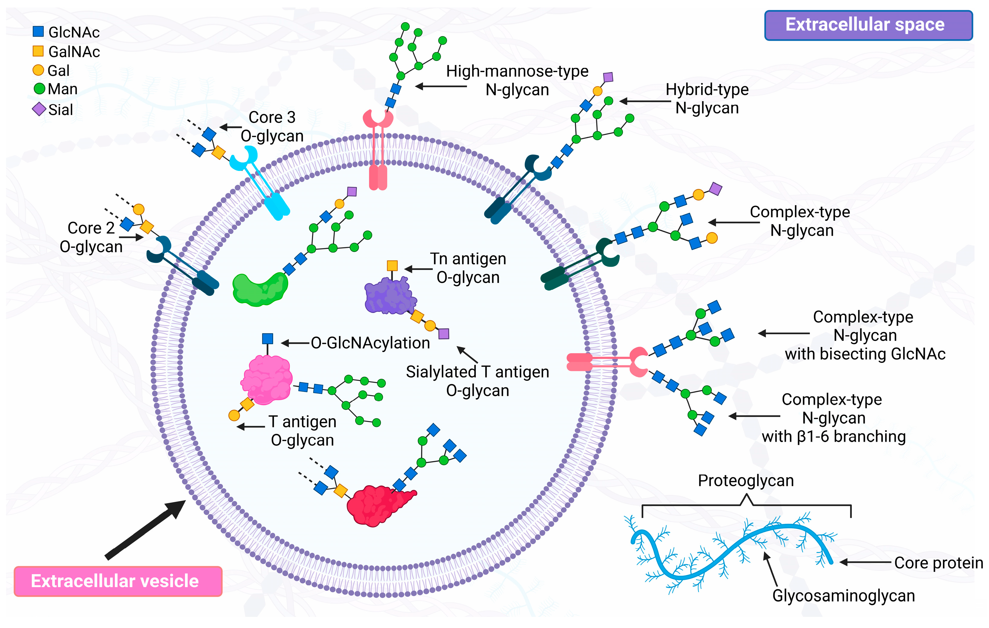 Molecules 29 05241 g002