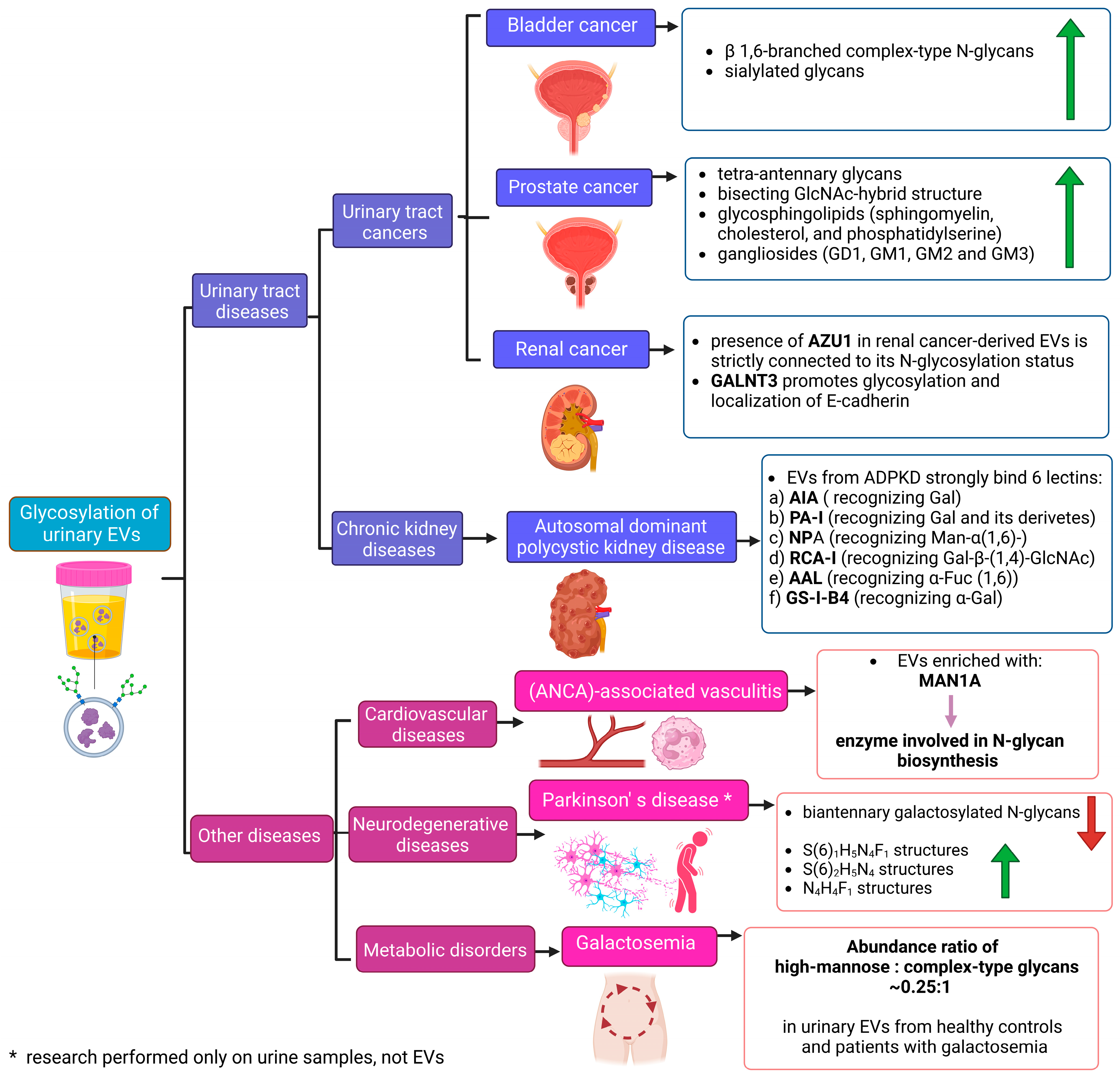 Molecules 29 05241 g005