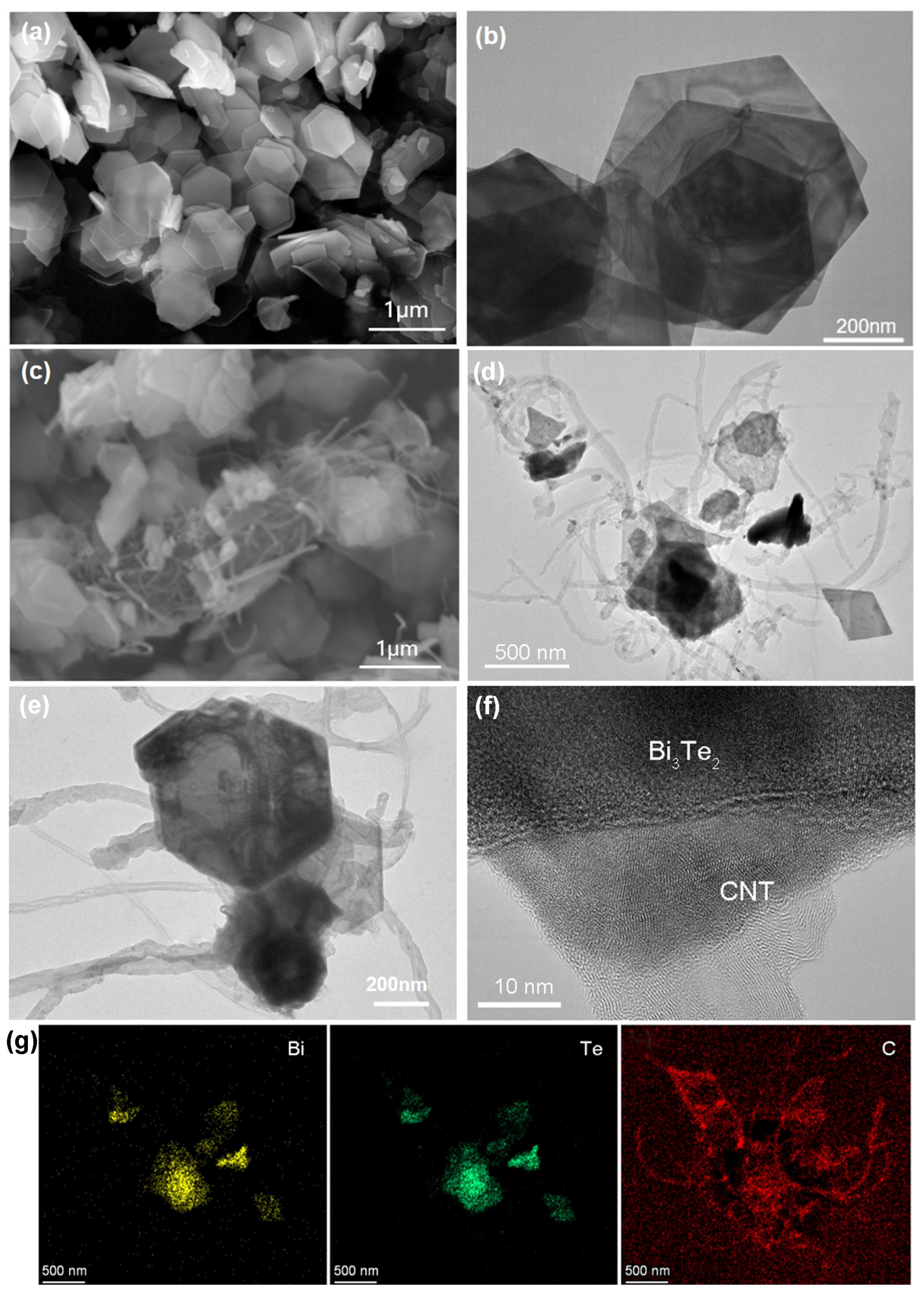 Molecules 29 05242 g001