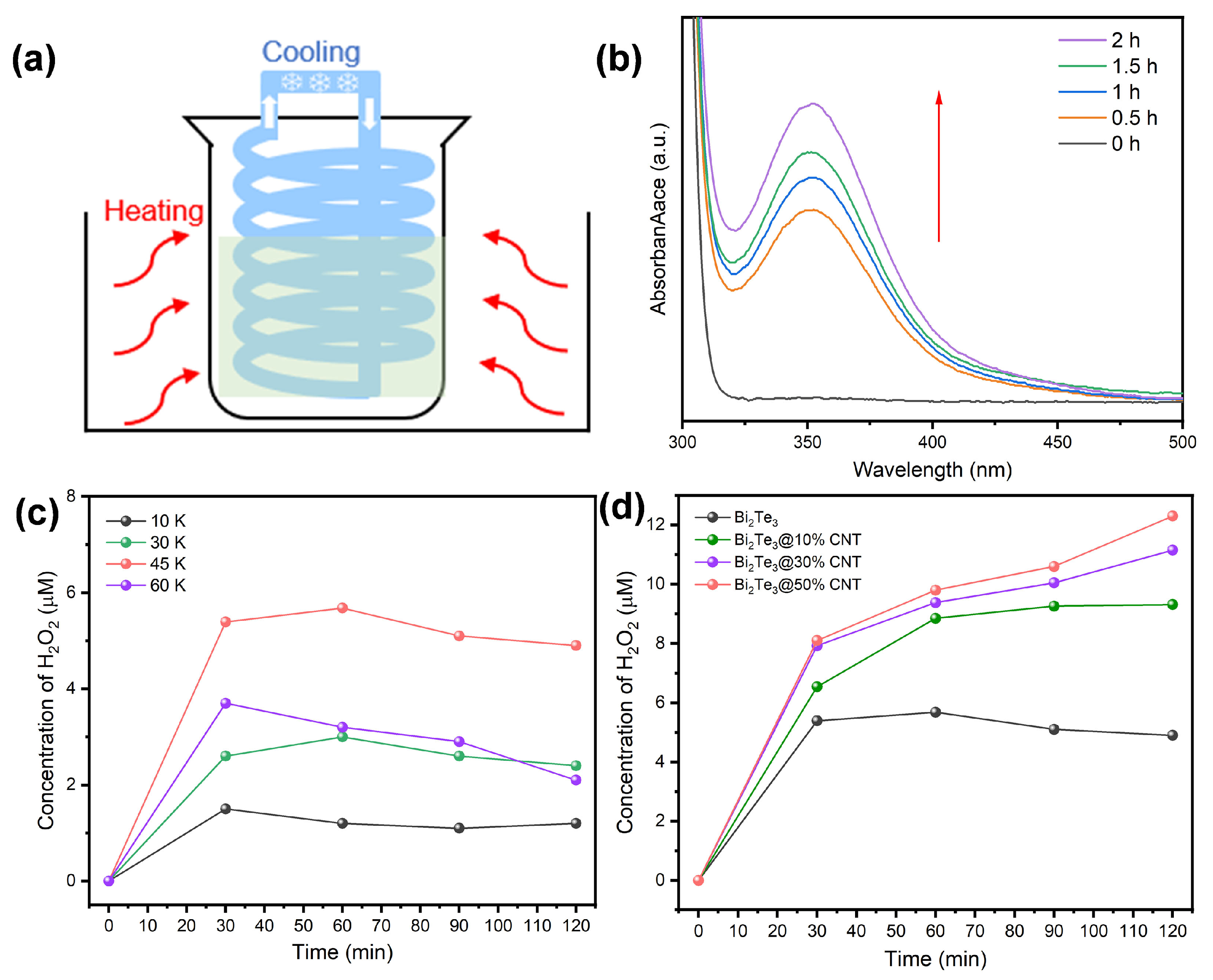 Molecules 29 05242 g003