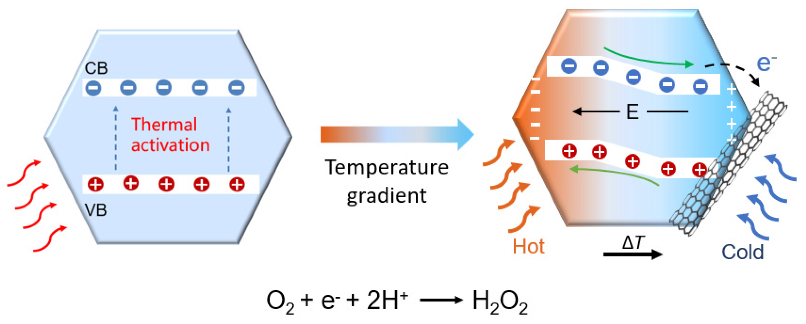 Molecules 29 05242 g005