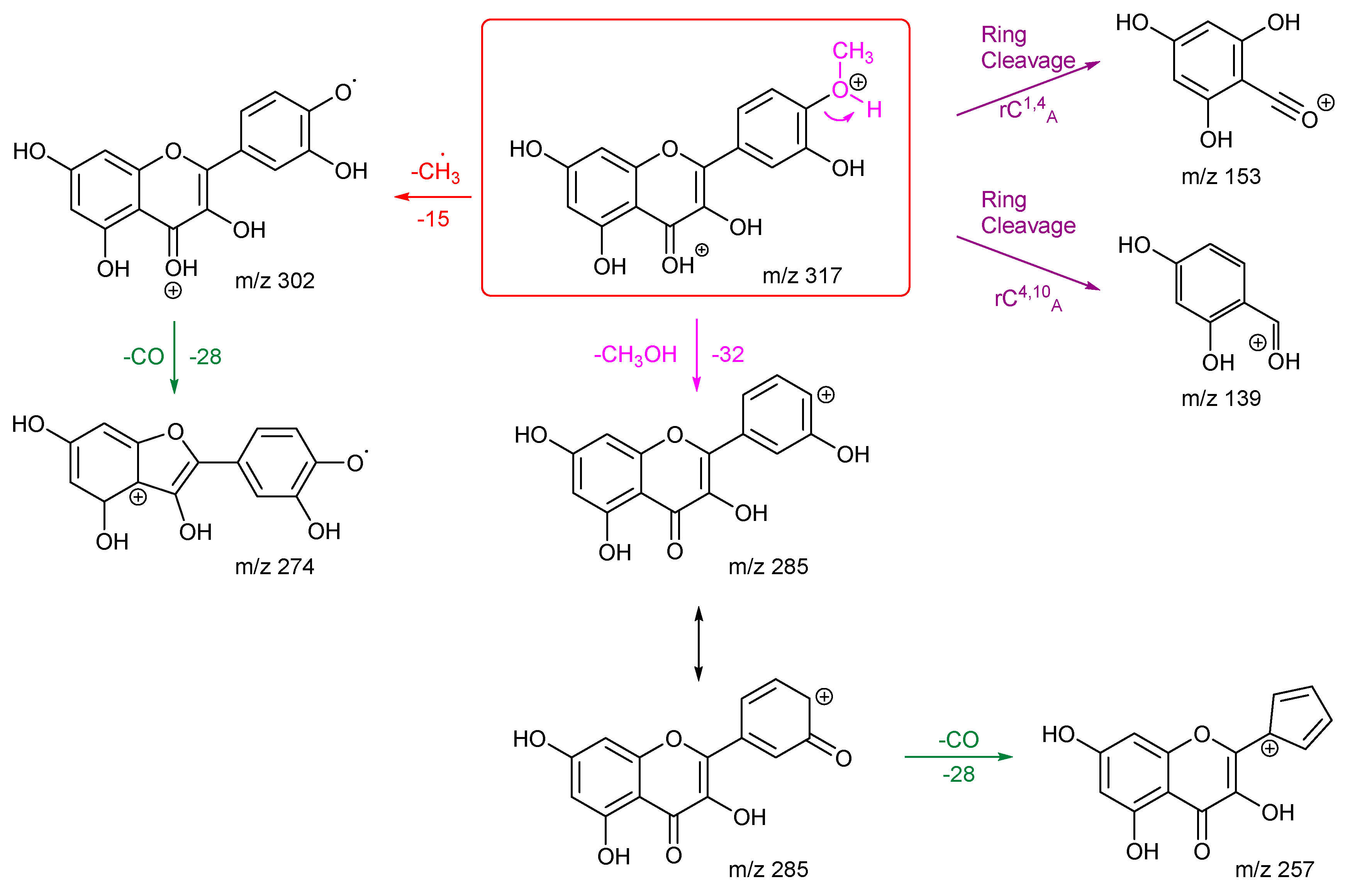 Molecules 29 05246 sch002