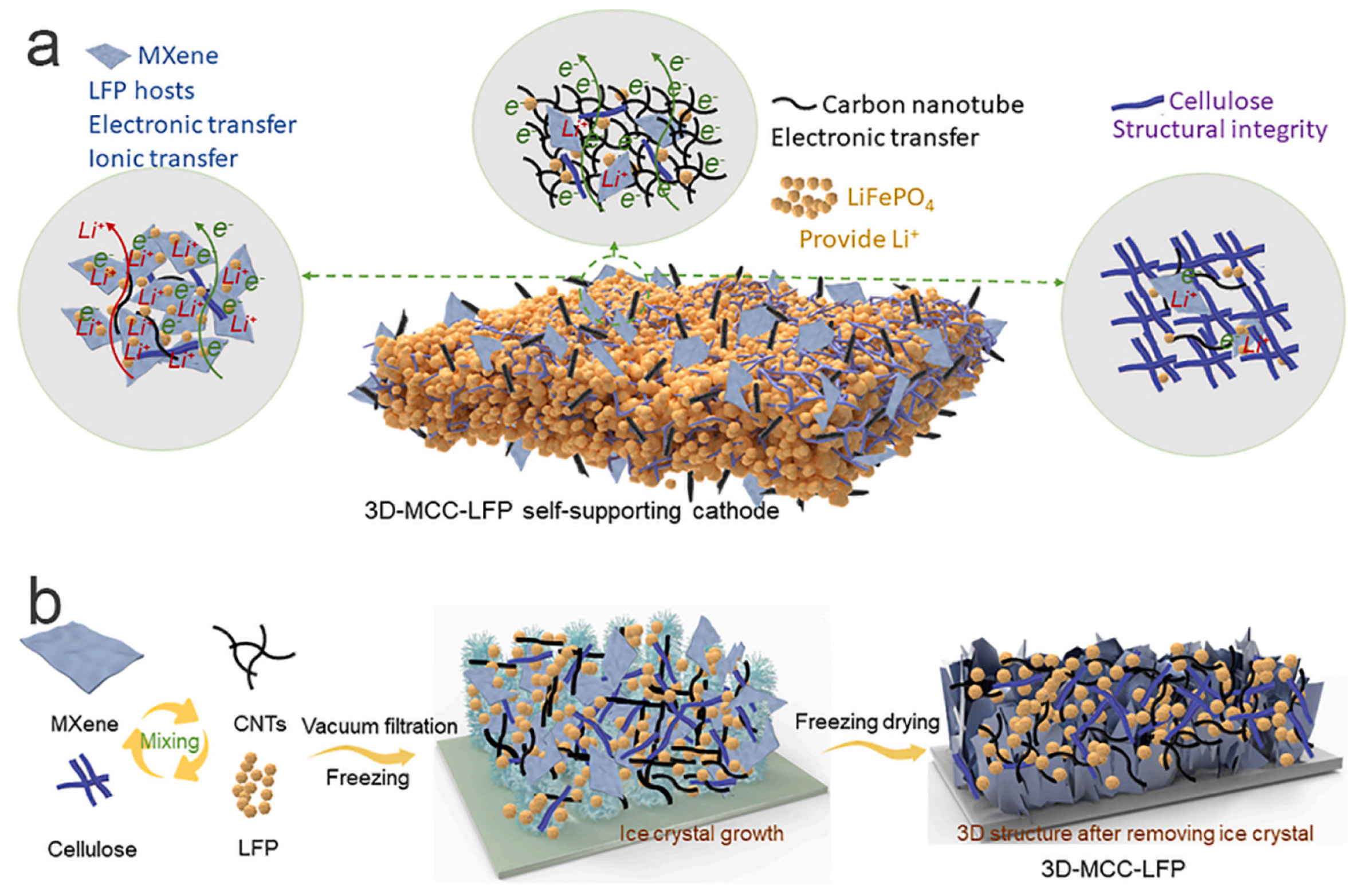 Molecules 29 05250 g006