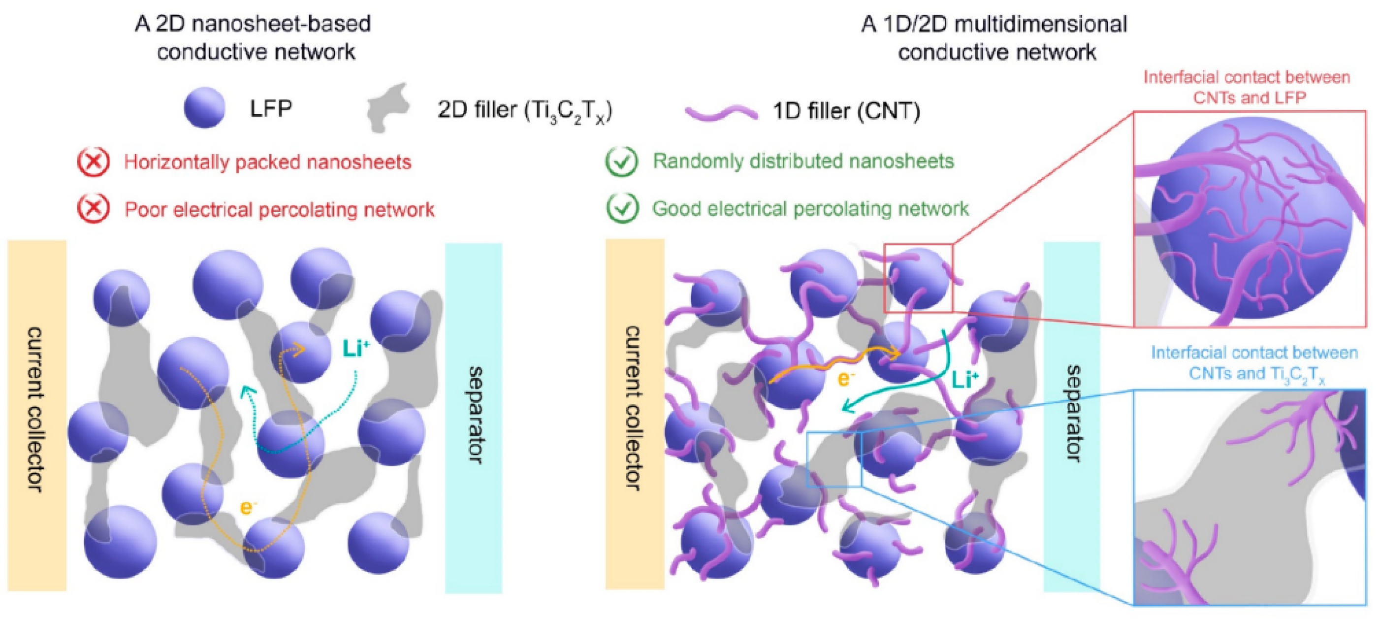 Molecules 29 05250 g007