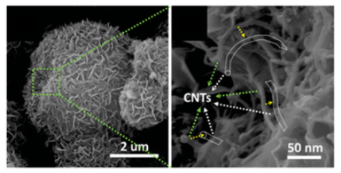 Molecules 29 05250 i001