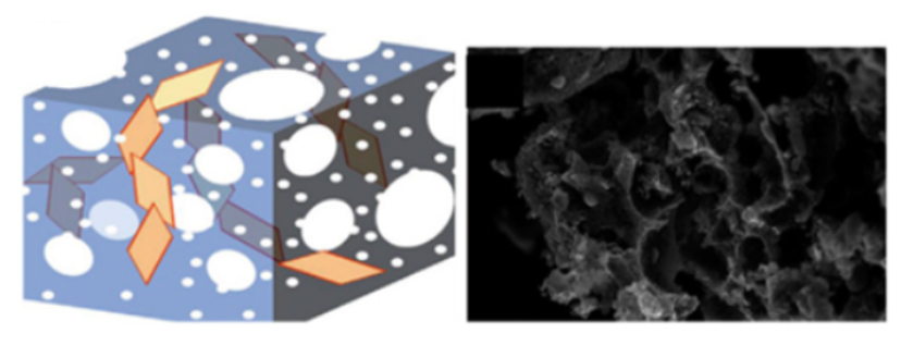 Molecules 29 05250 i006