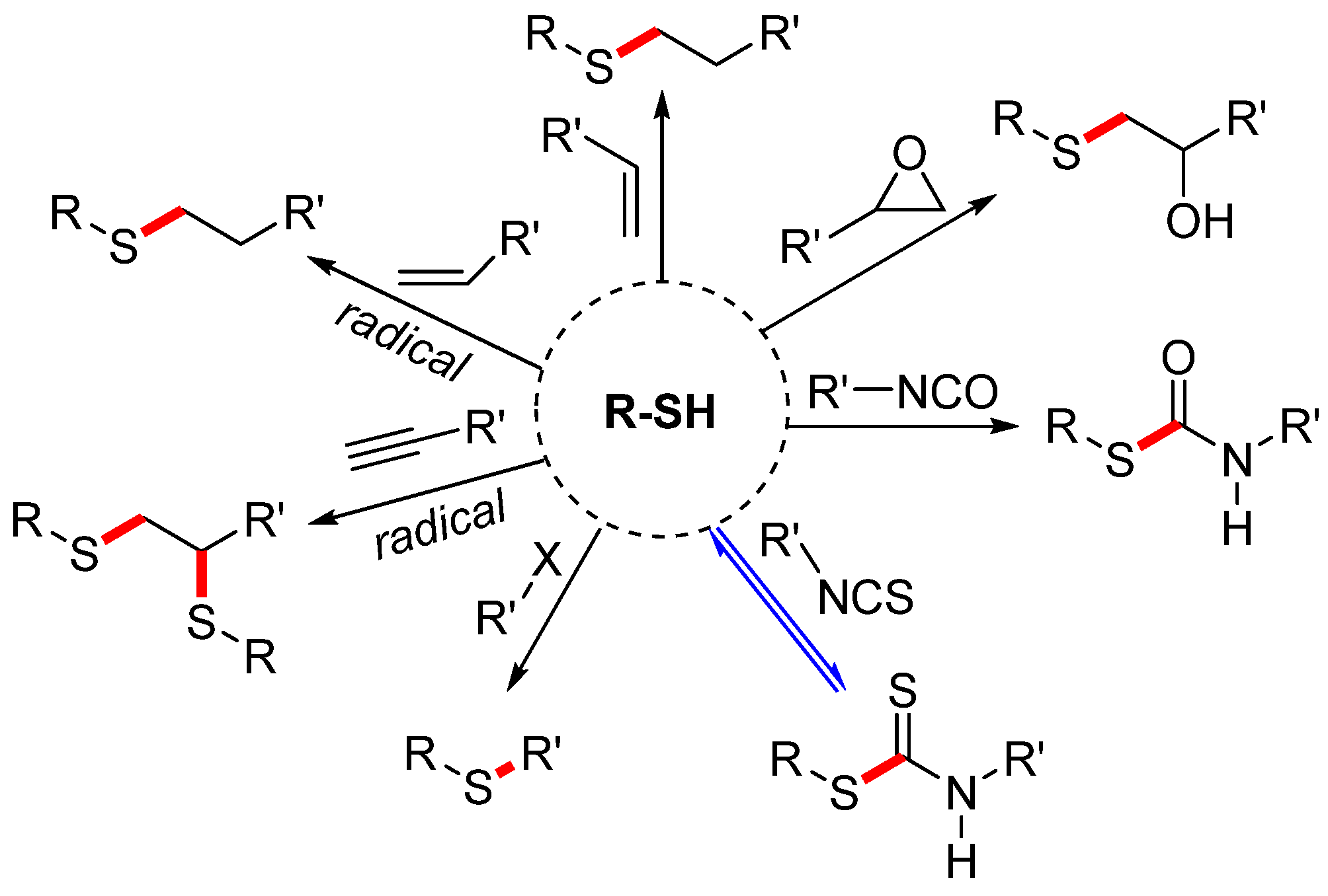 Molecules 29 05255 g003